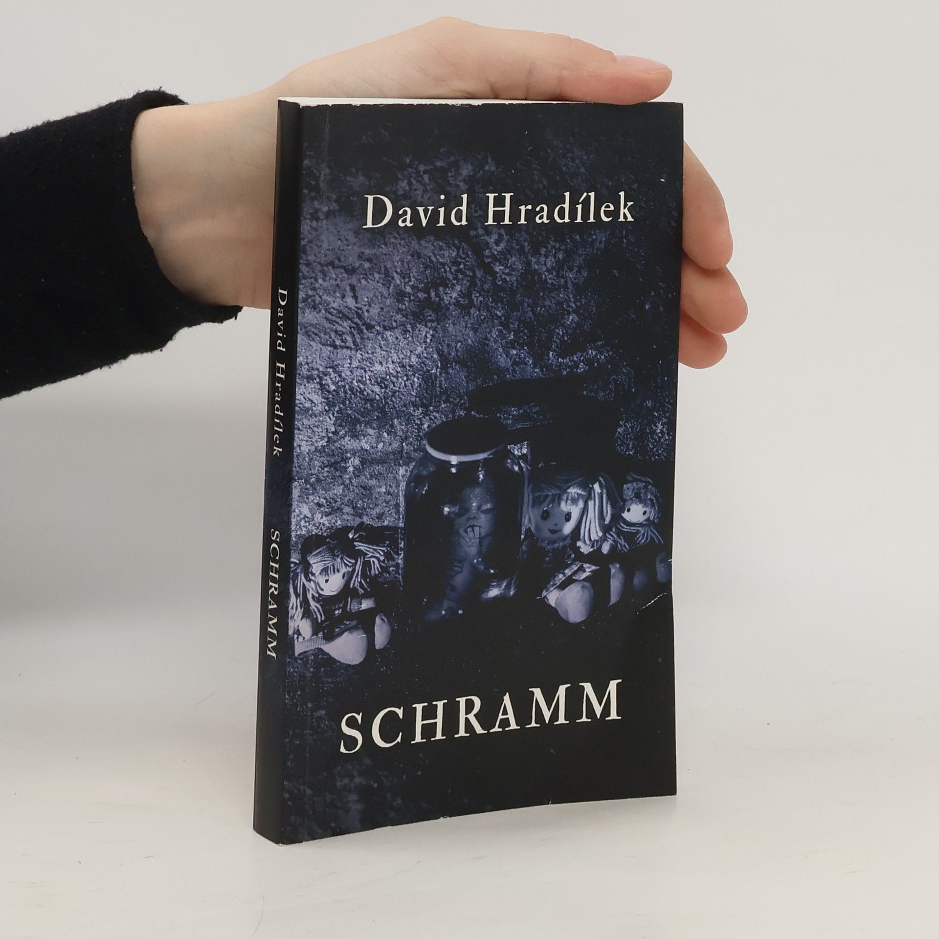 David Hradílek Schramm