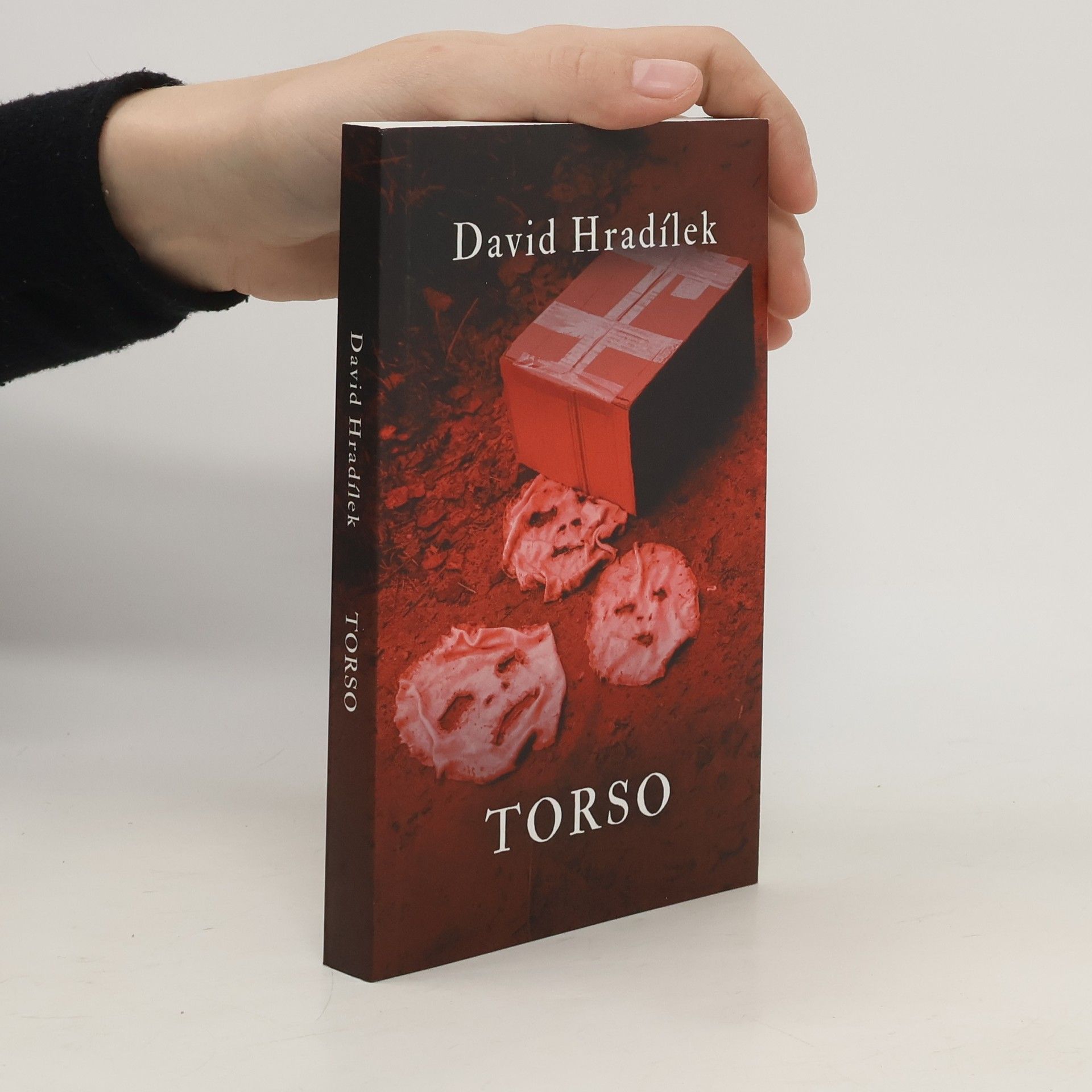 David Hradílek Torso