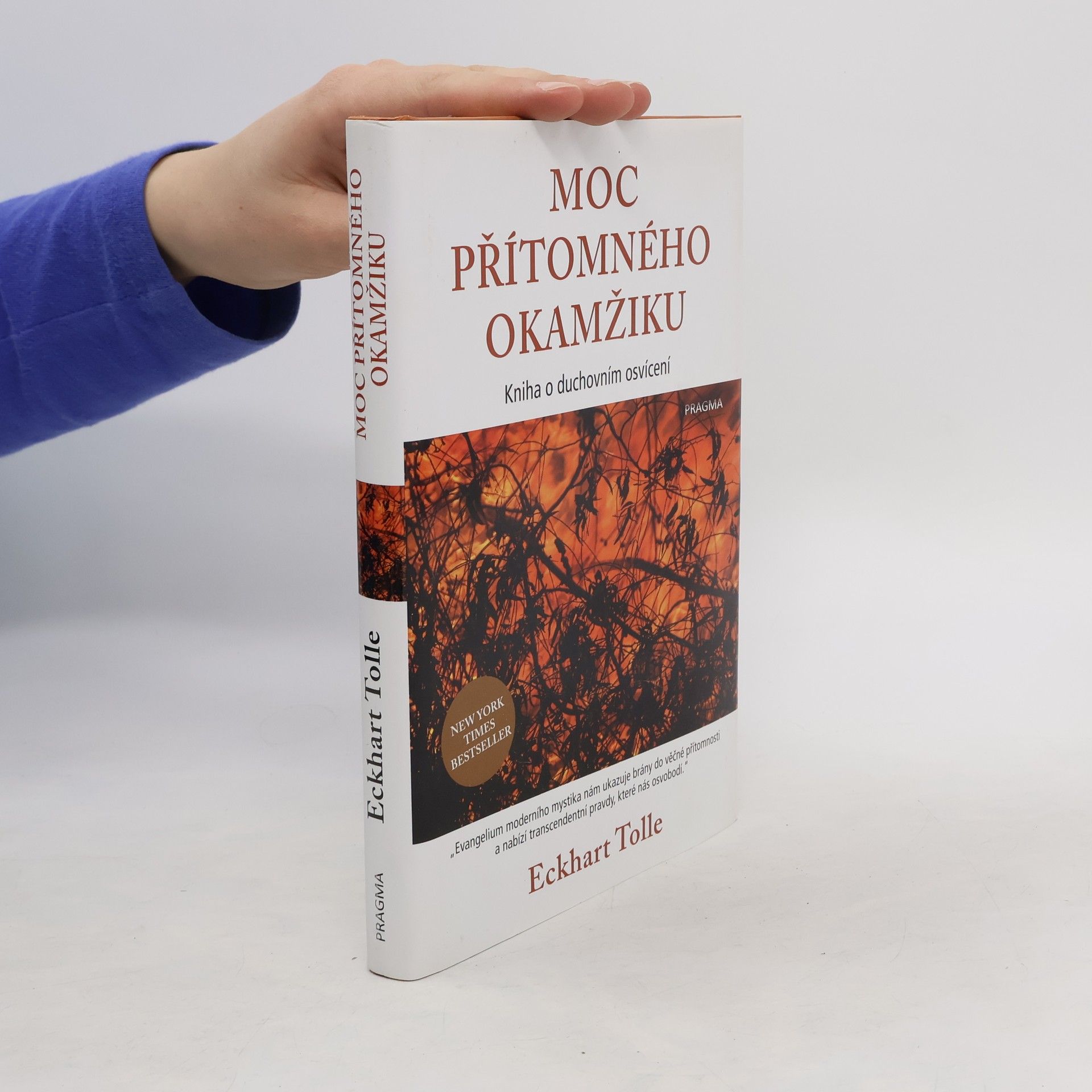 Eckhart Tolle Moc přítomného okamžiku