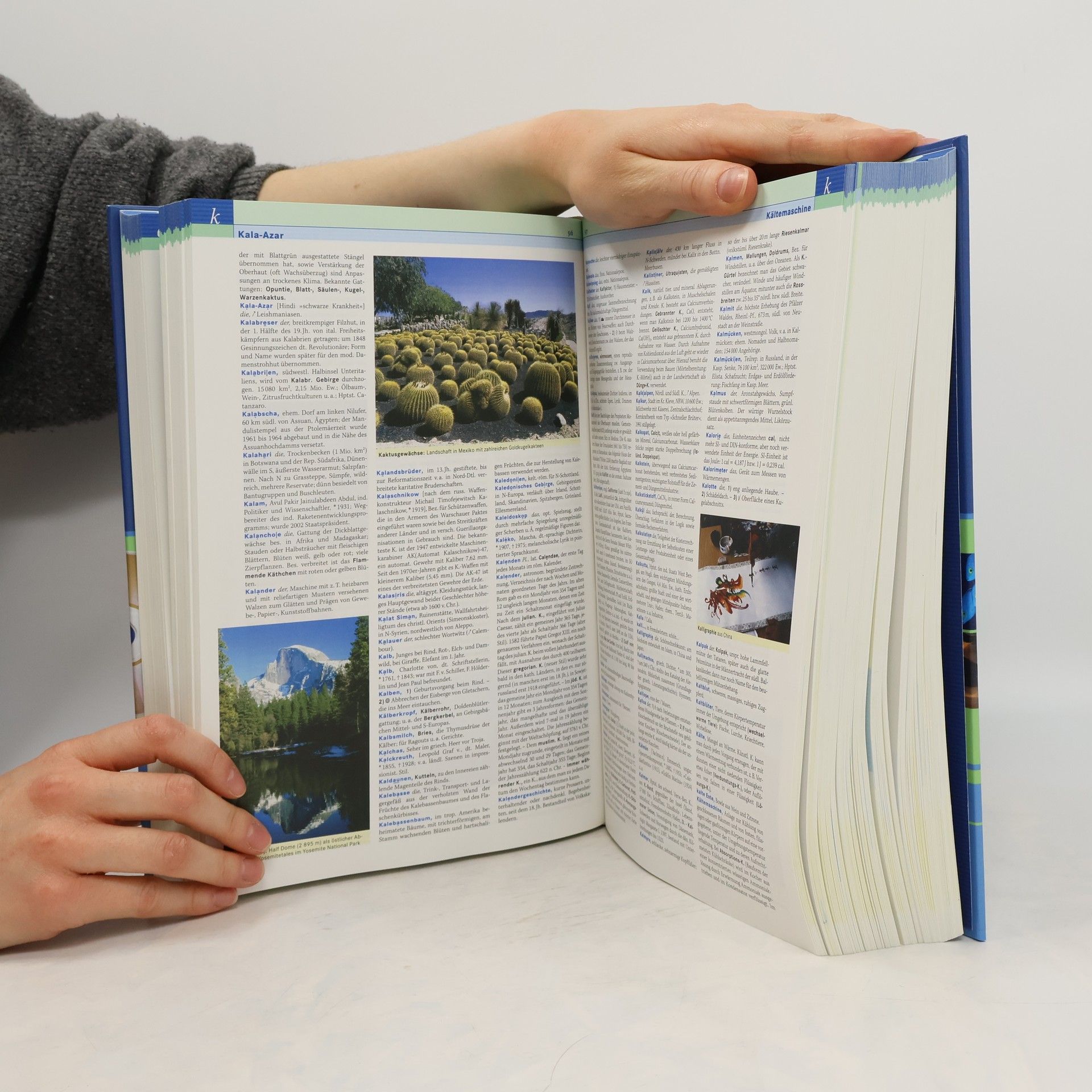 Annette Zwahr Der grosse Brockhaus in einem Band