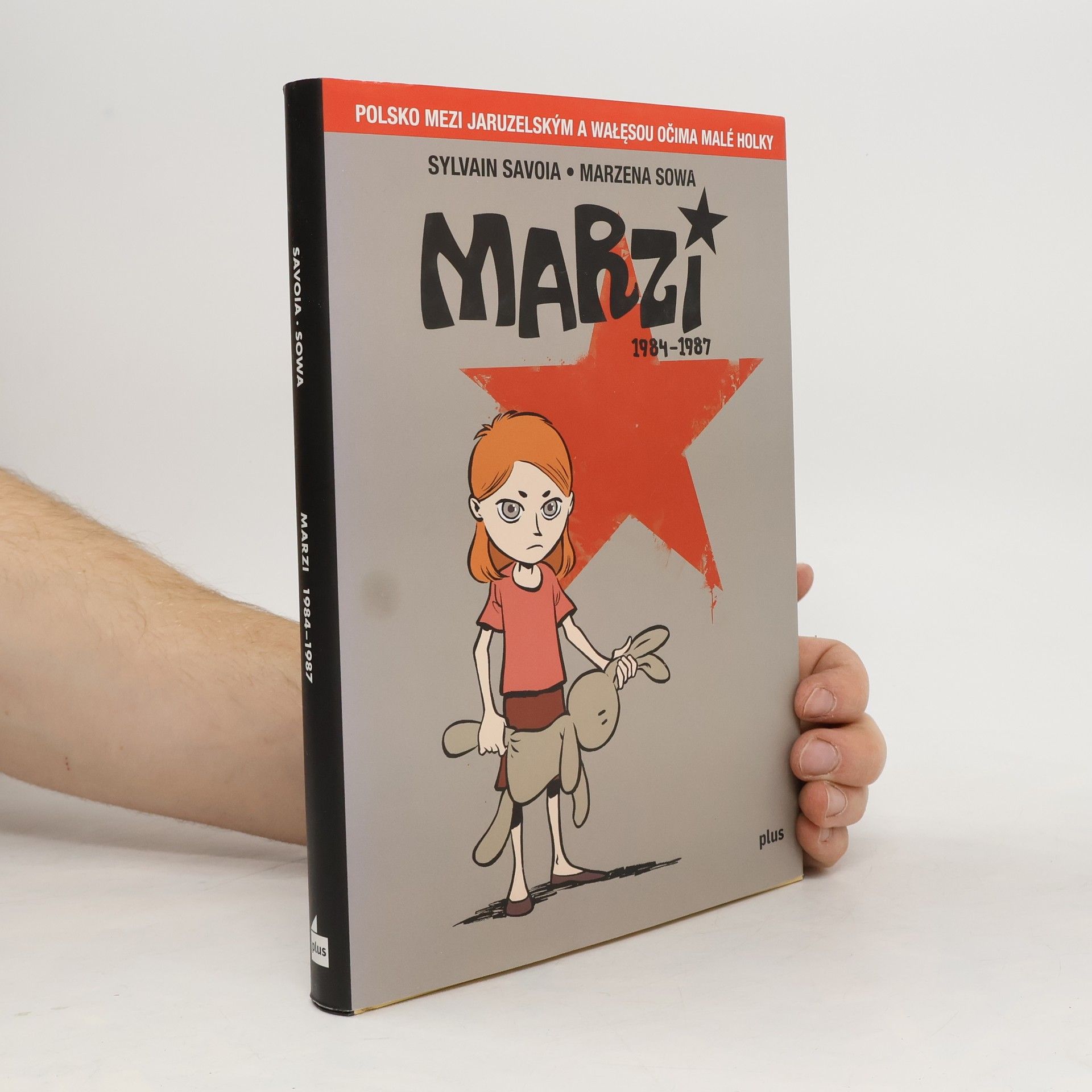 Sylvain Savoia Marzi : 1984-1987