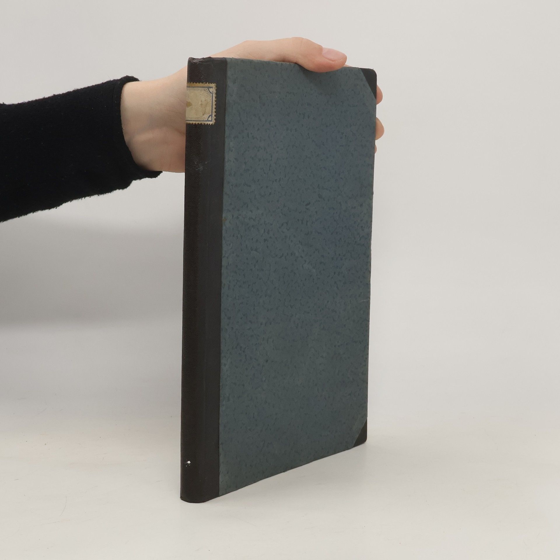 Autorenkollektiv Die Stadtpfarrkirche Heiligen Blut in Graz zum