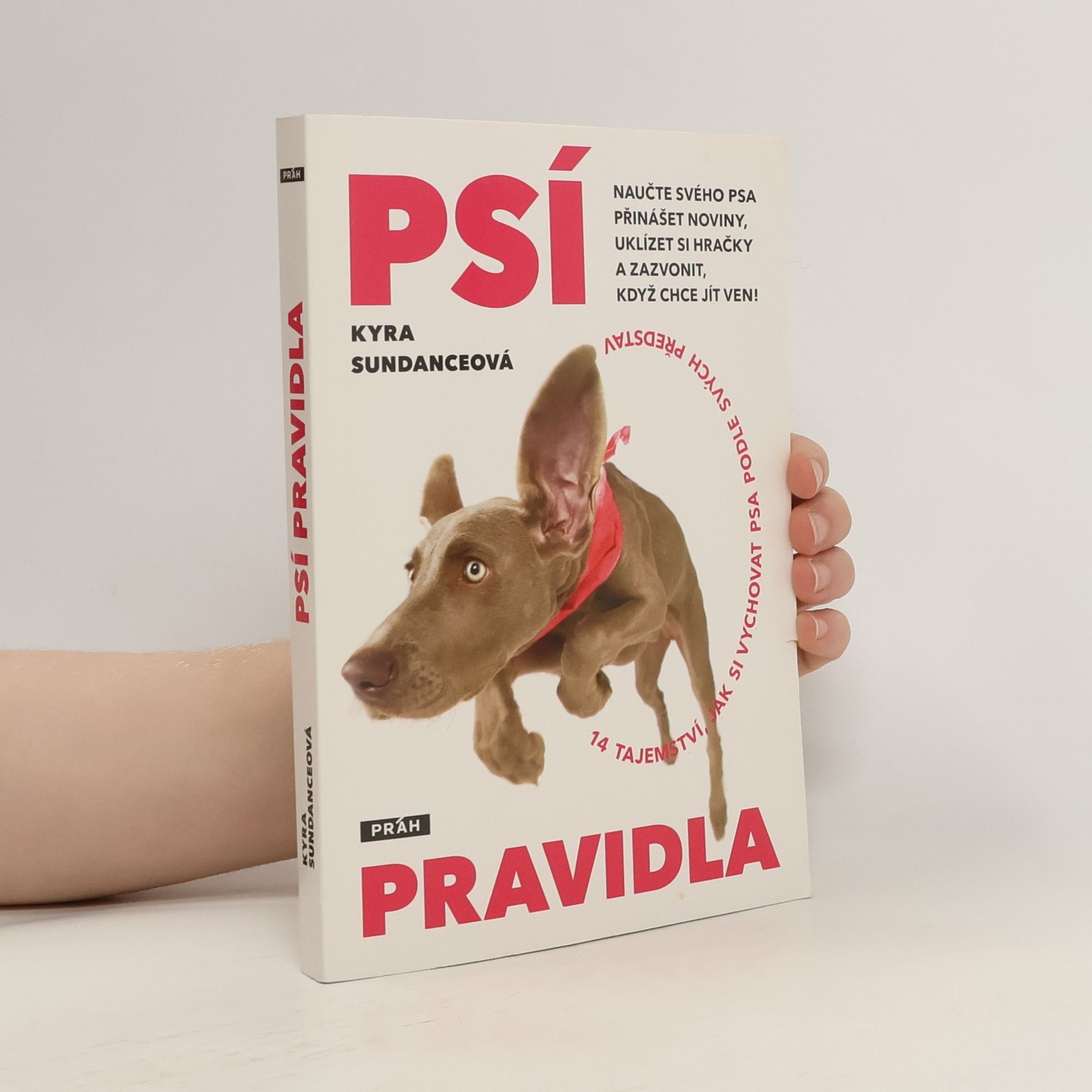 Kyra Sundance Psí pravidla