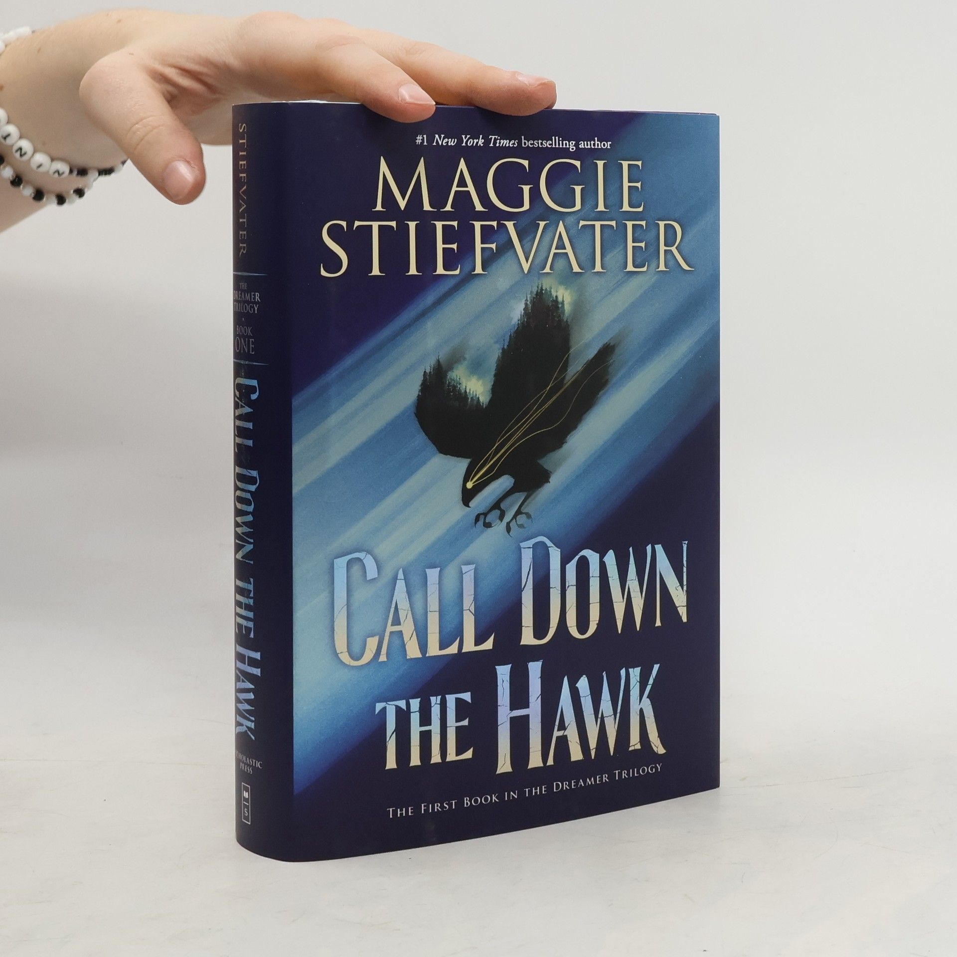 Maggie Stiefvater Call Down the Hawk