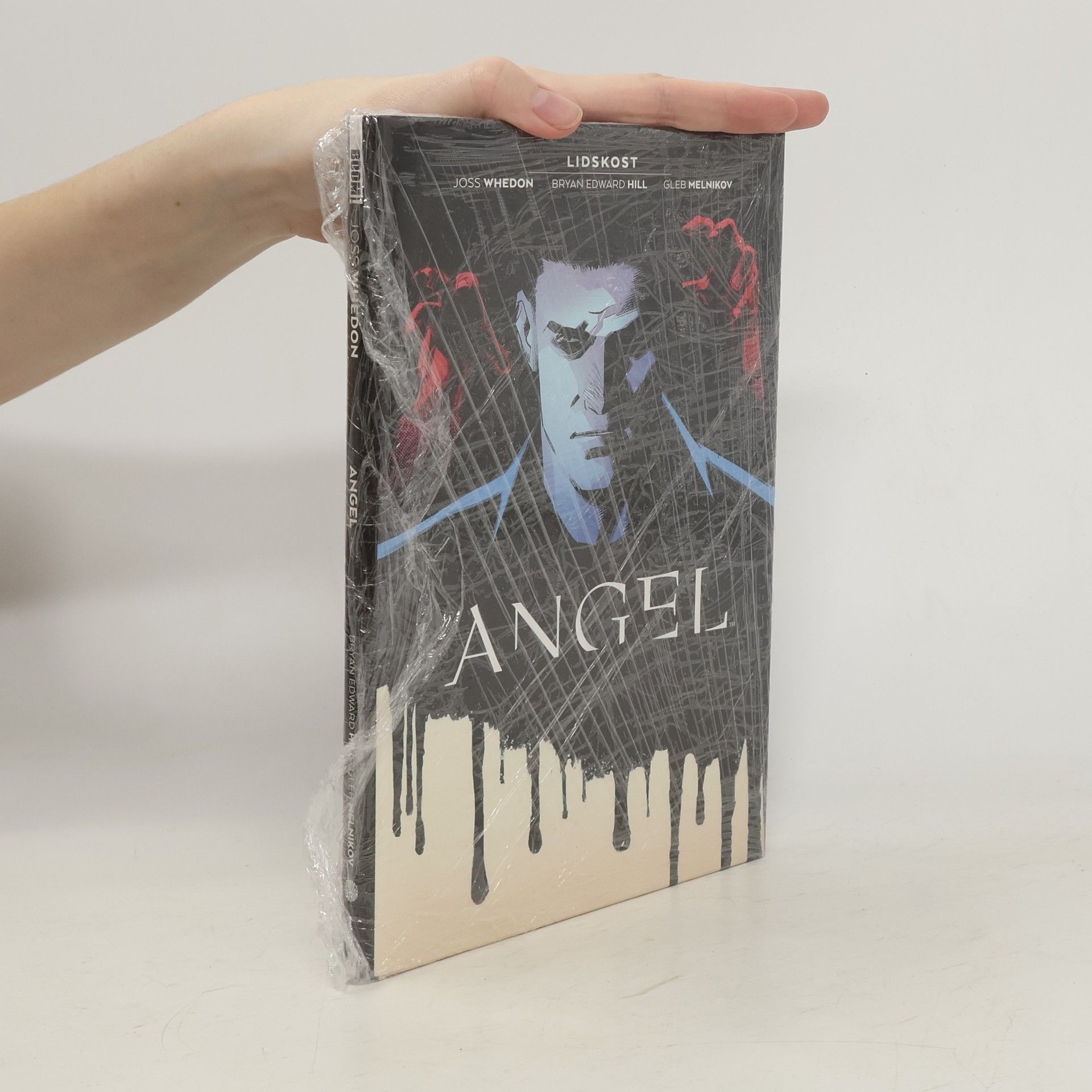 Bryan Edward Hill Angel. Kniha první, Lidskost
