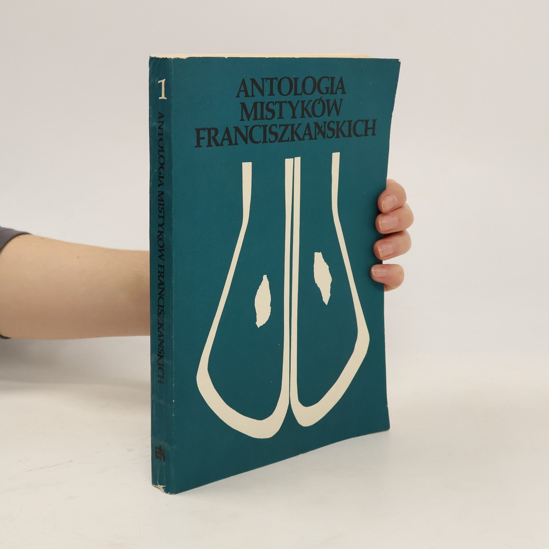 Autorenkollektiv Antologia Mistyków Franciszkańskich. Tom 1 wiek XIII