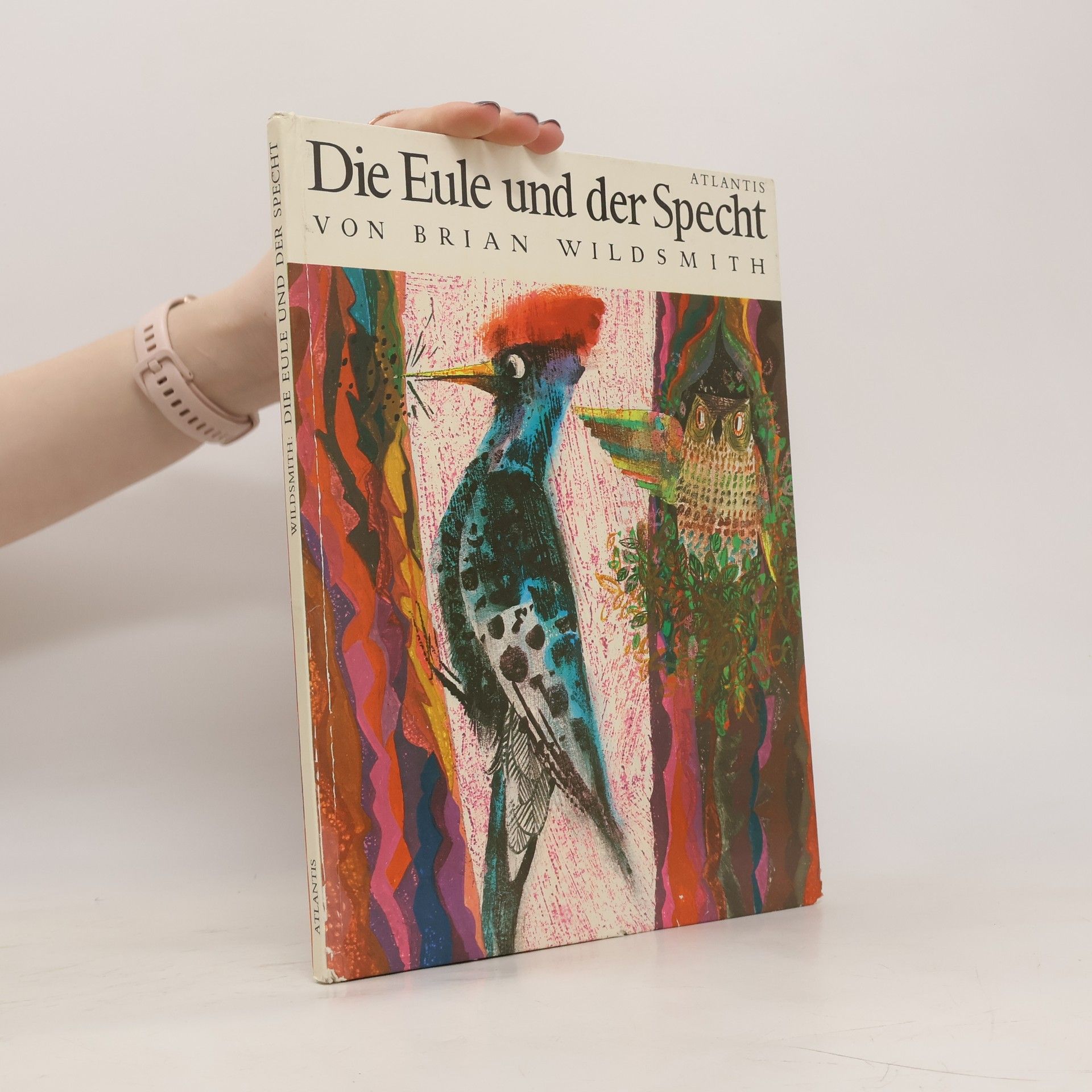 Brian Wildsmith Die Eule und der Specht