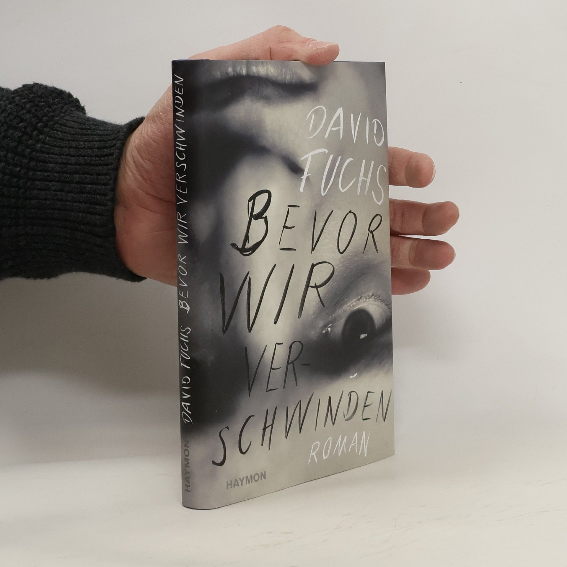 David Fuchs Bevor wir verschwinden