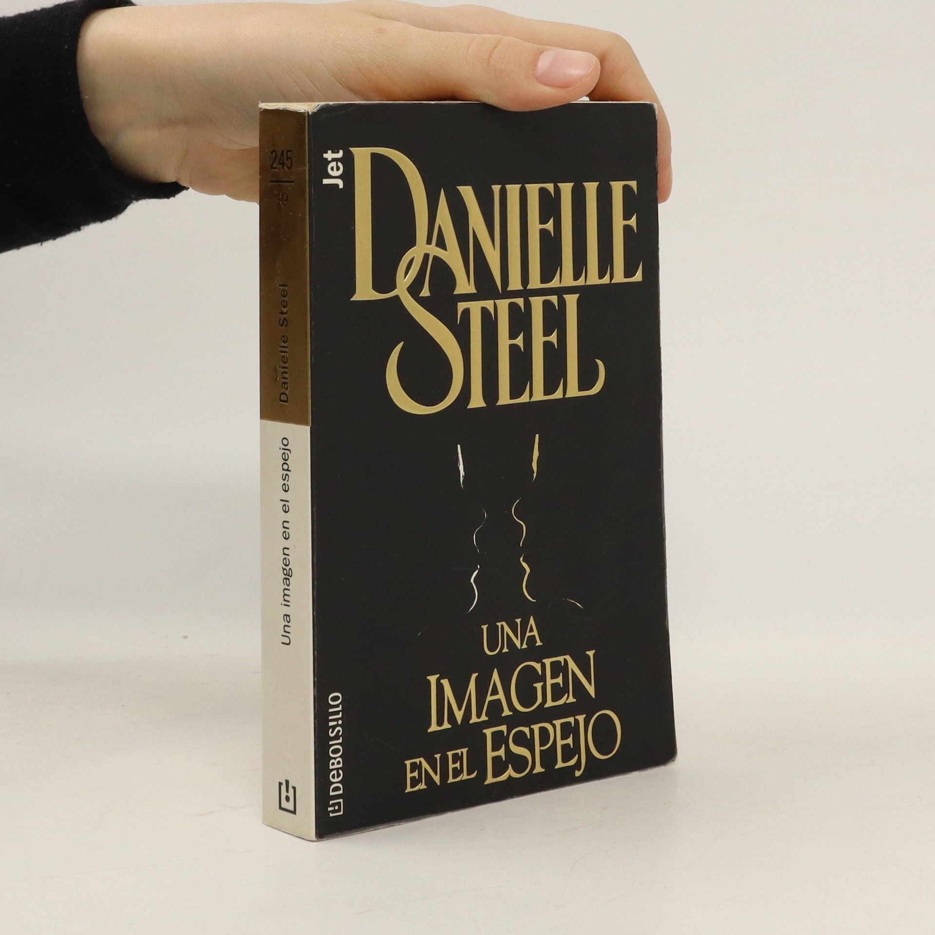 Danielle Steel Una imagen en el espejo