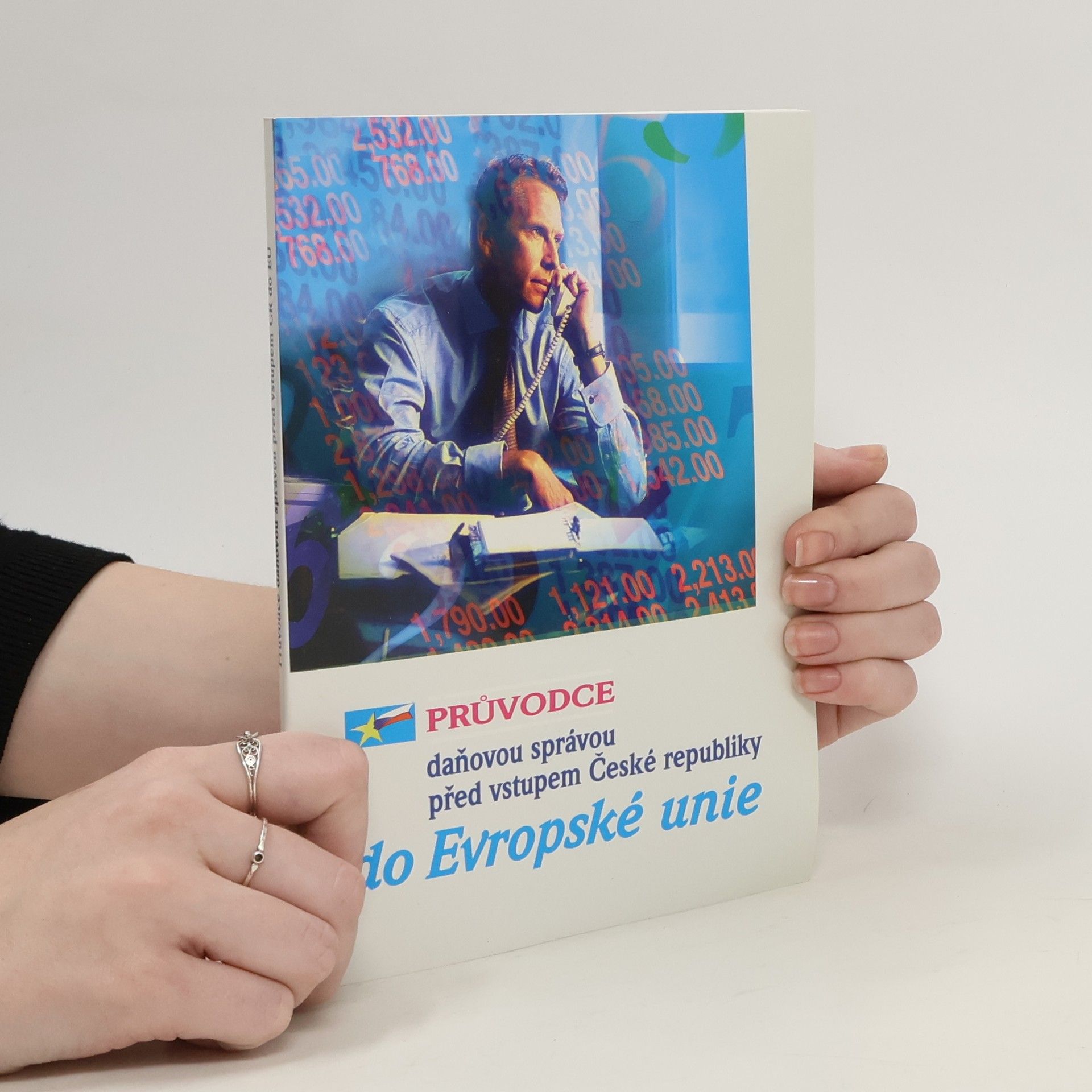 Collectif d'auteurs Průvodce daňovou správou před vstupem České republiky do Evropské unie