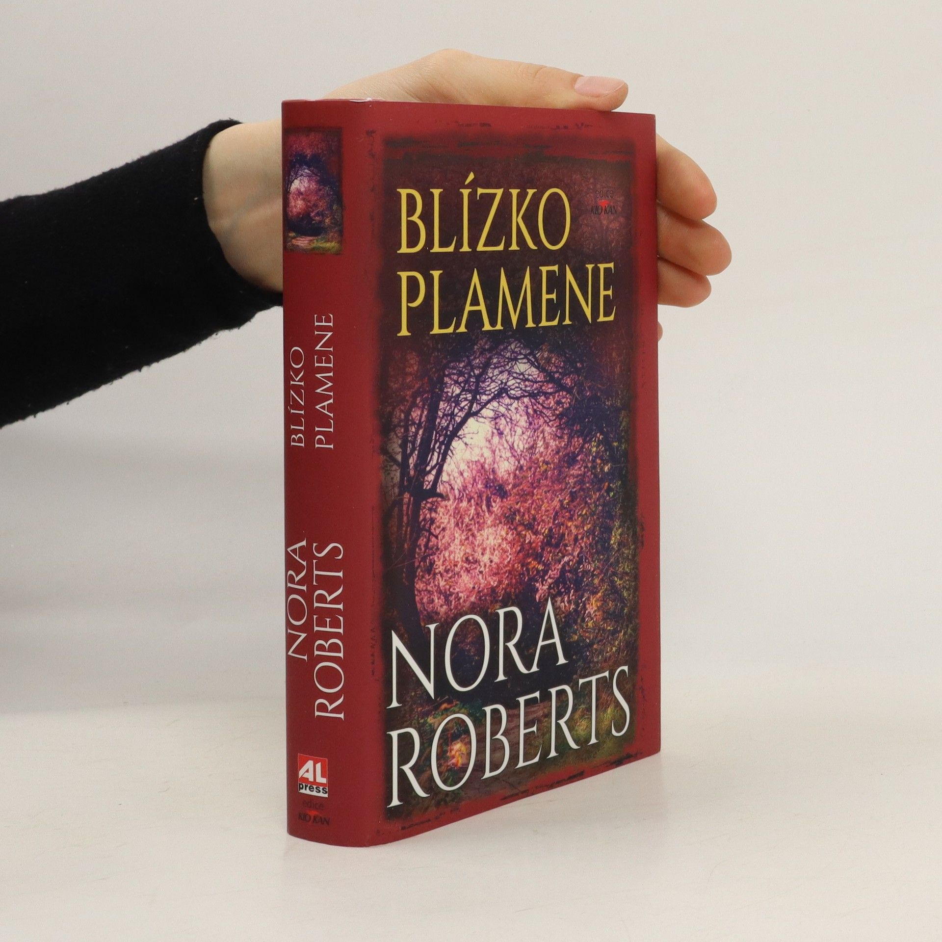 Nora Roberts Blízko plamene