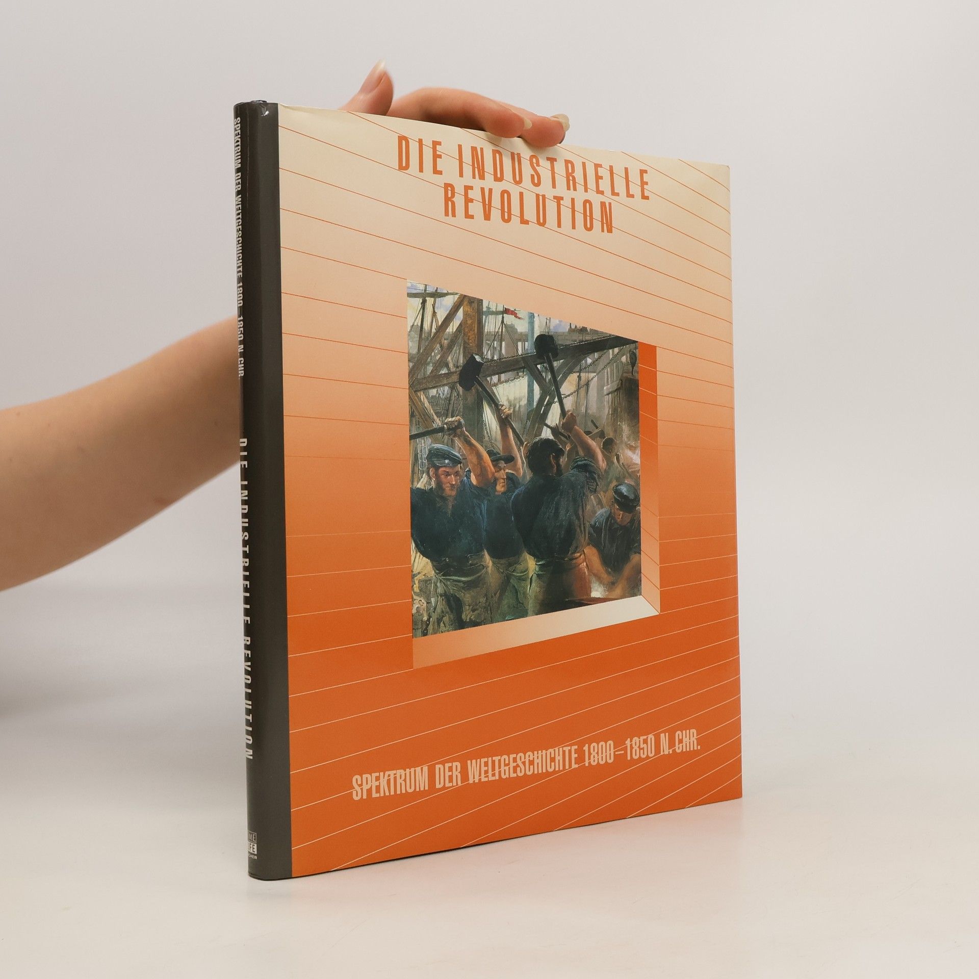 Autorenkollektiv Die industrielle Revolution. Spektrum der Weltgeschichte 1800-1850