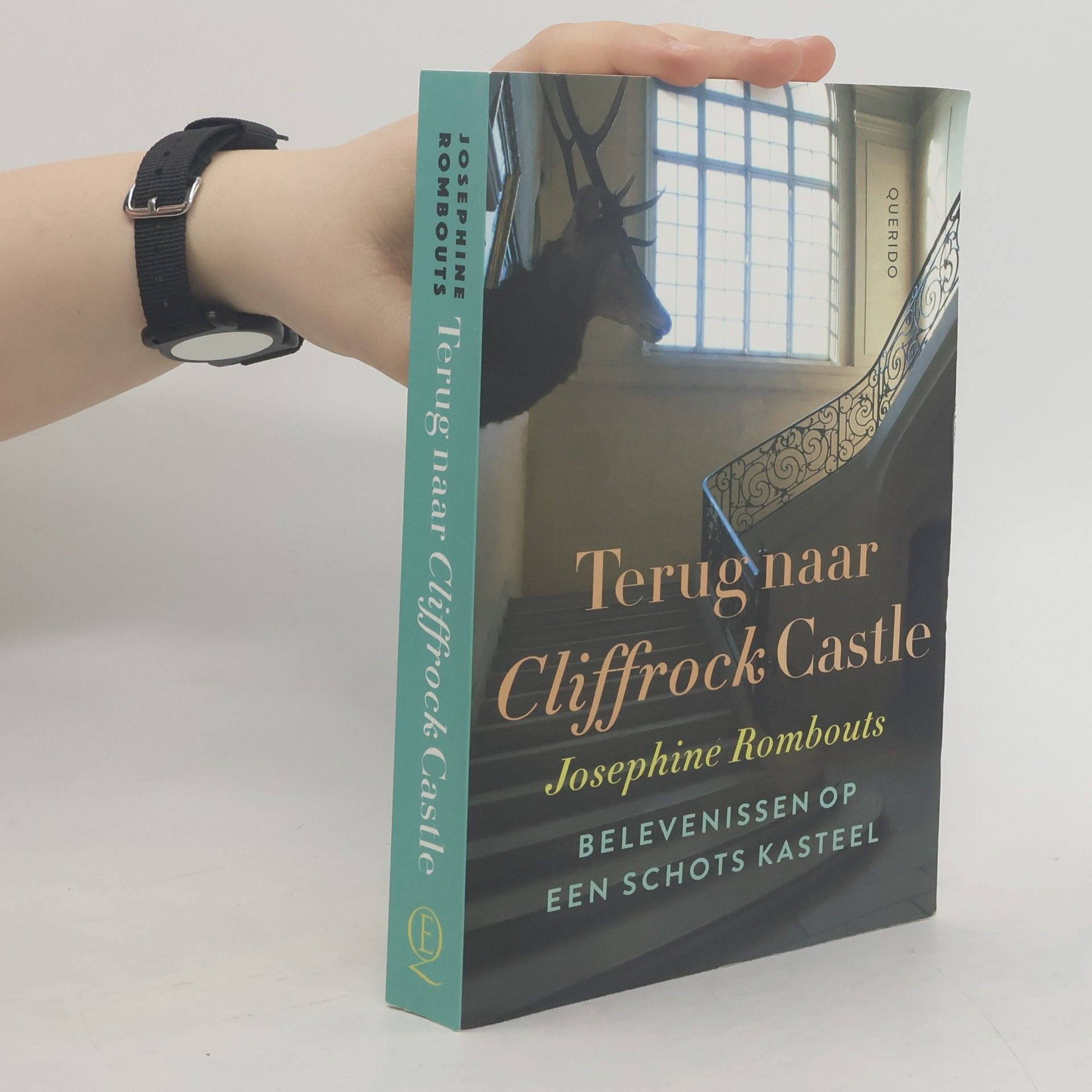 Josephine Rombouts Terug naar Cliffrock Castle