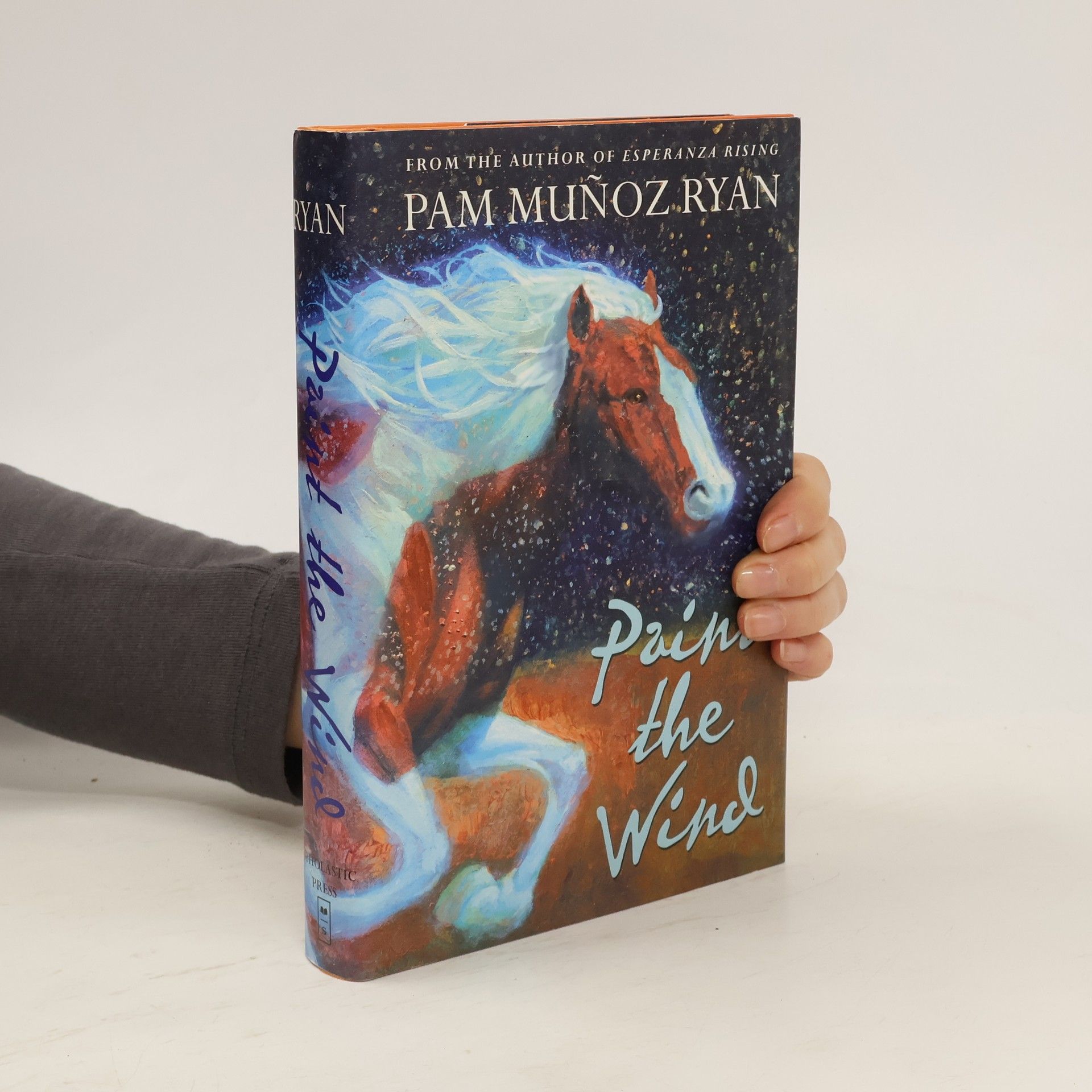 Pam Muñoz Ryan Paint the Wind