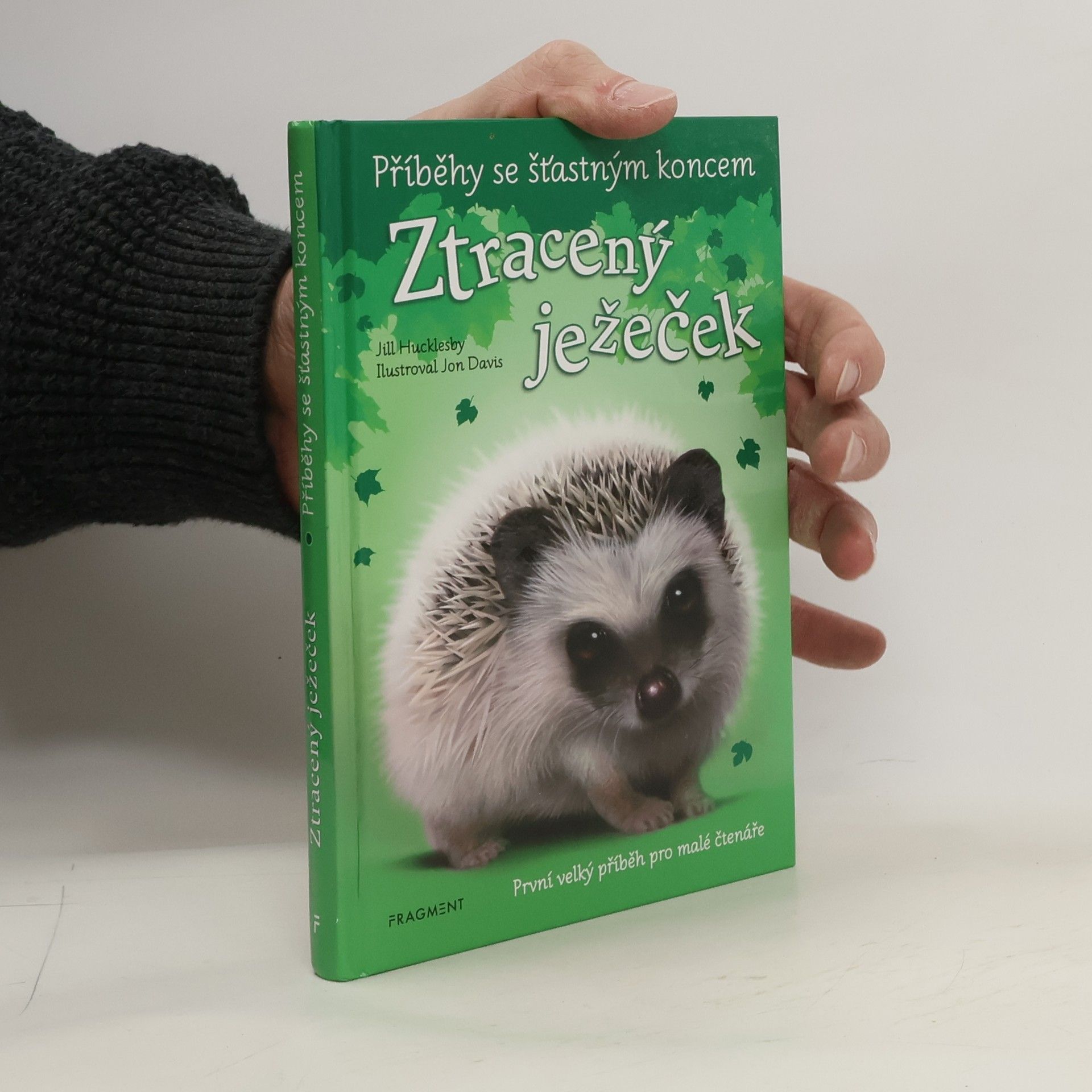 Jon Davis Ztracený ježeček
