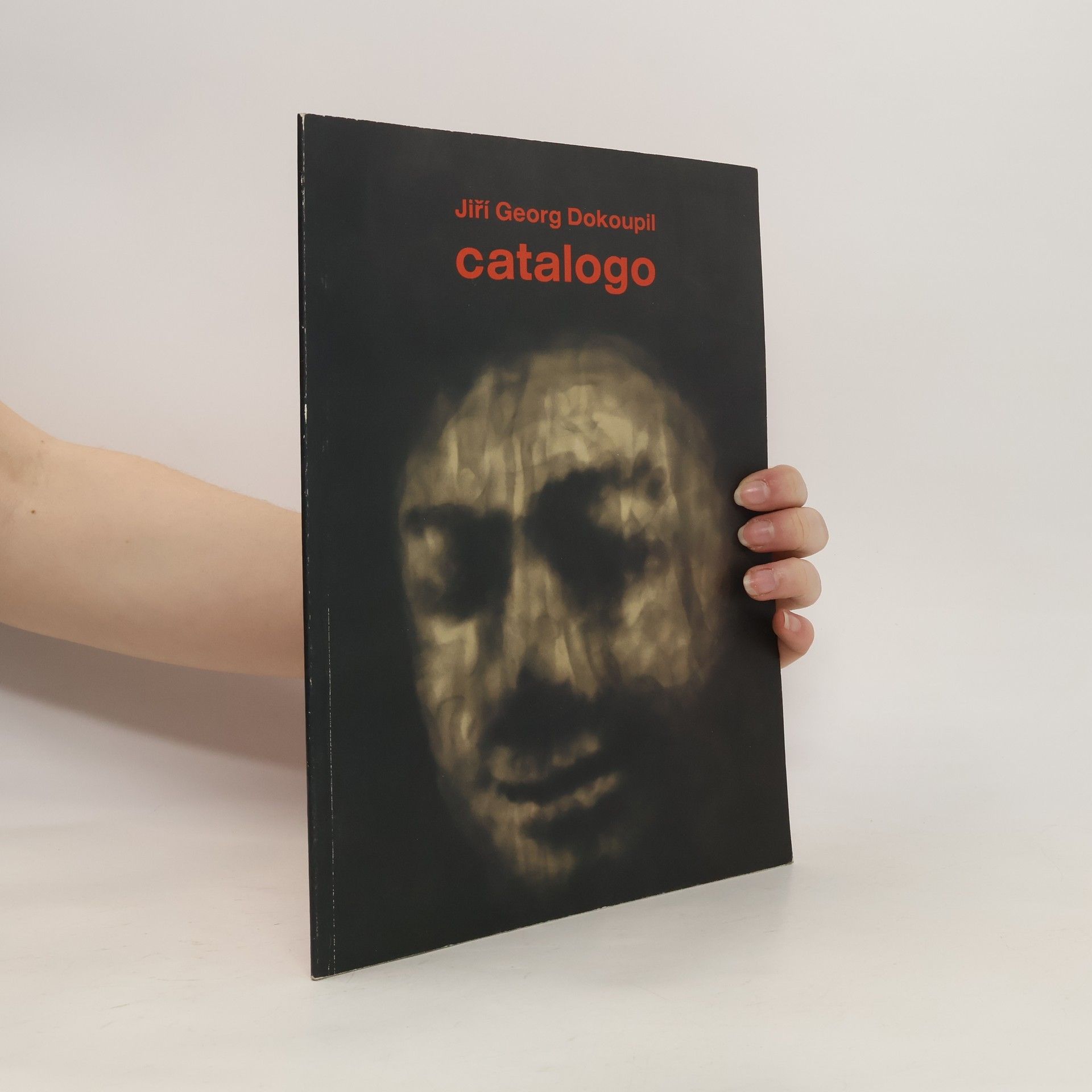 Jiří Georg Dokoupil Catalogo