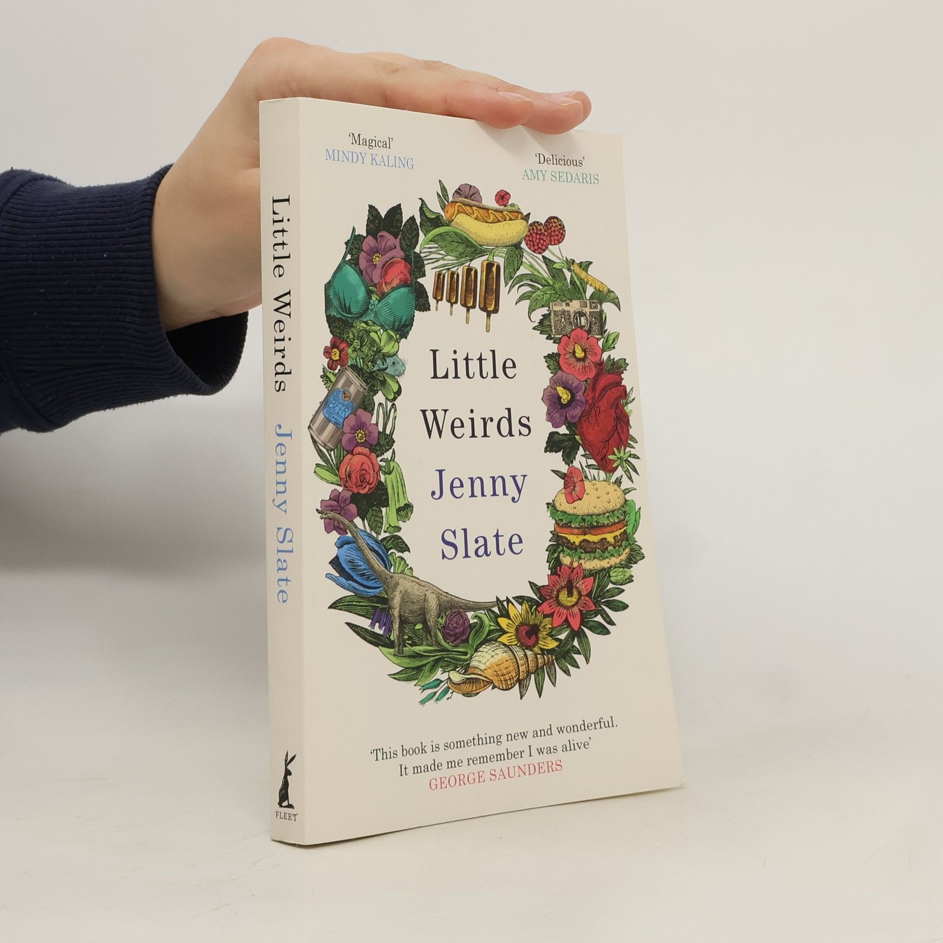 Jenny Slate Little Weirds