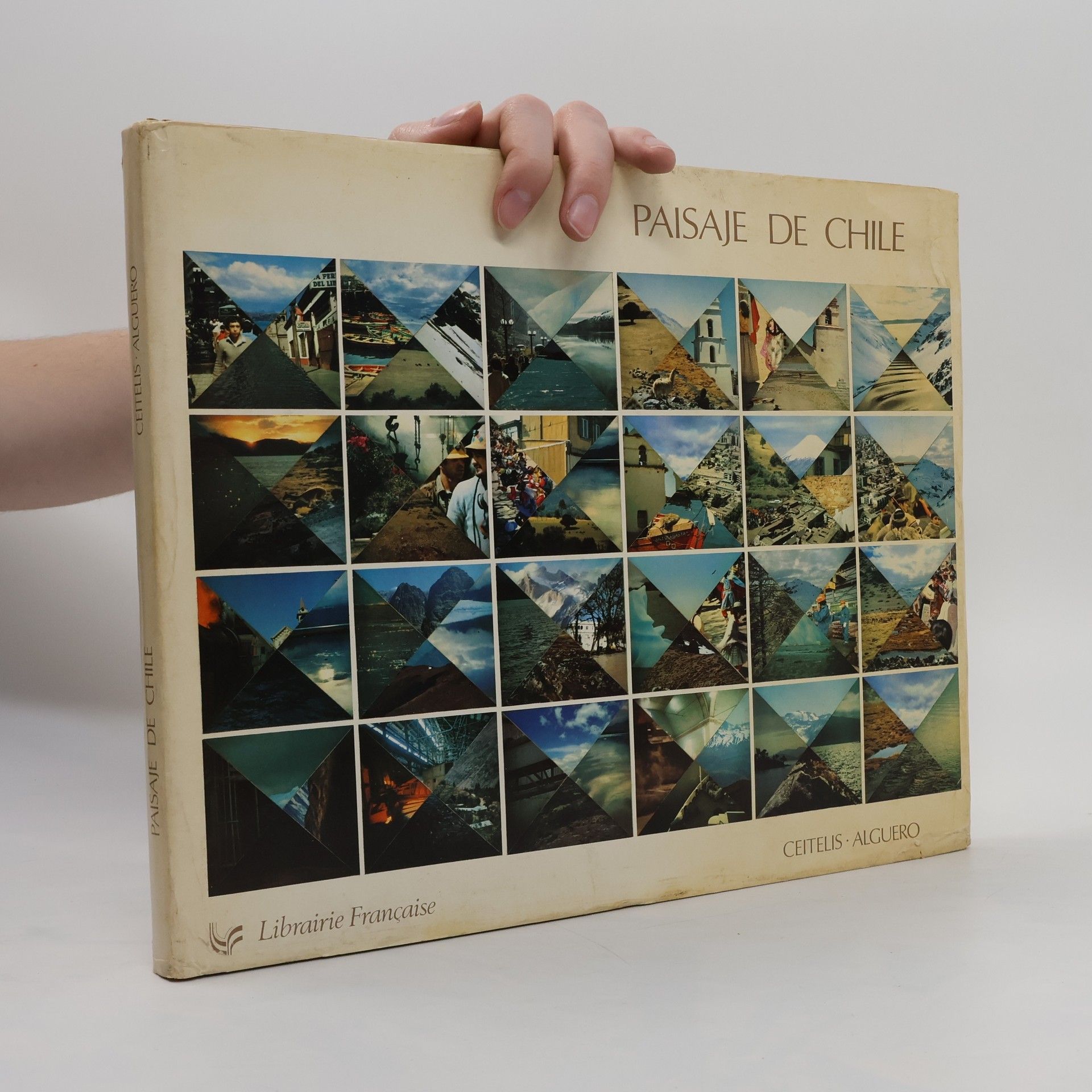 Collectif d'auteurs Paisaje de Chile