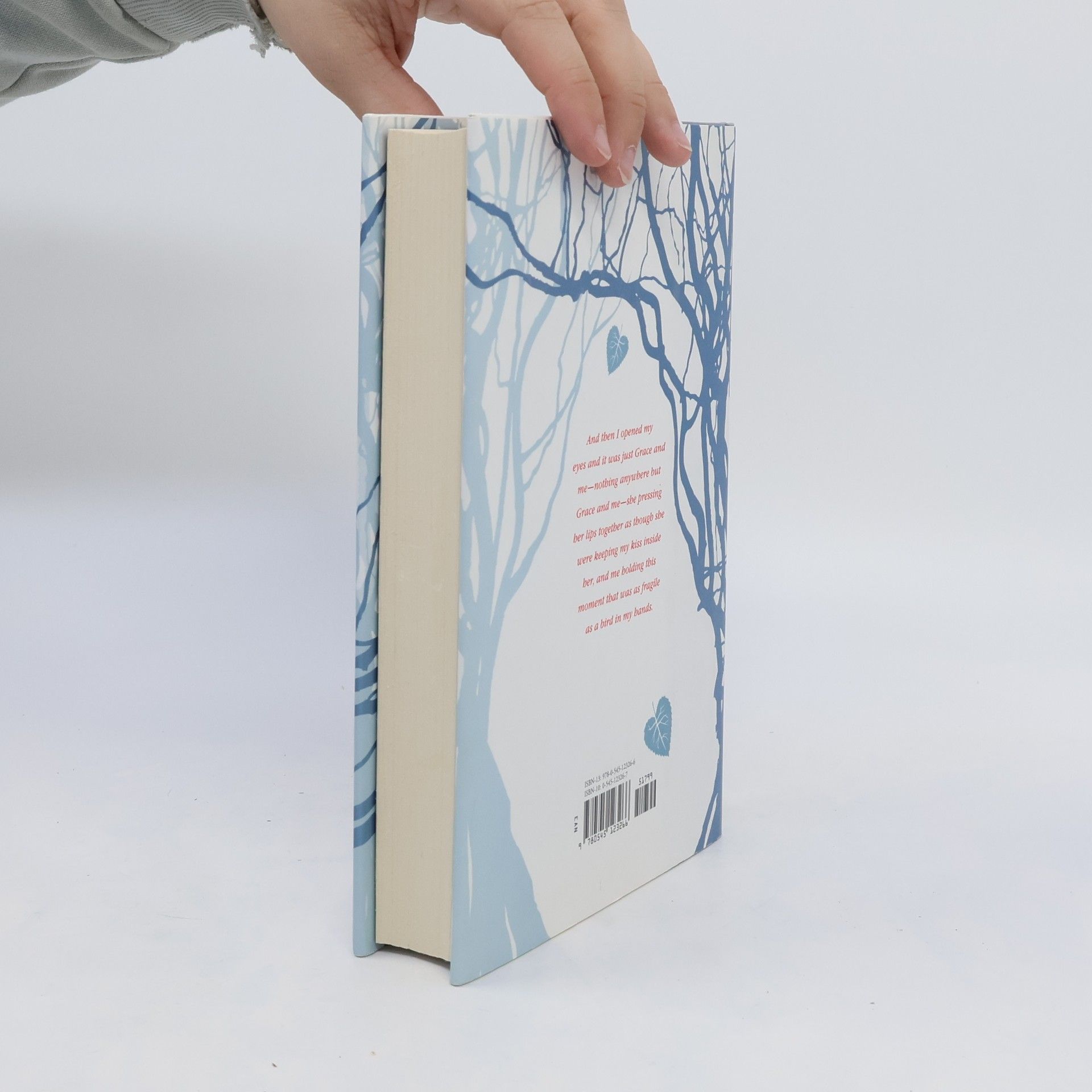 Maggie Stiefvater Shiver