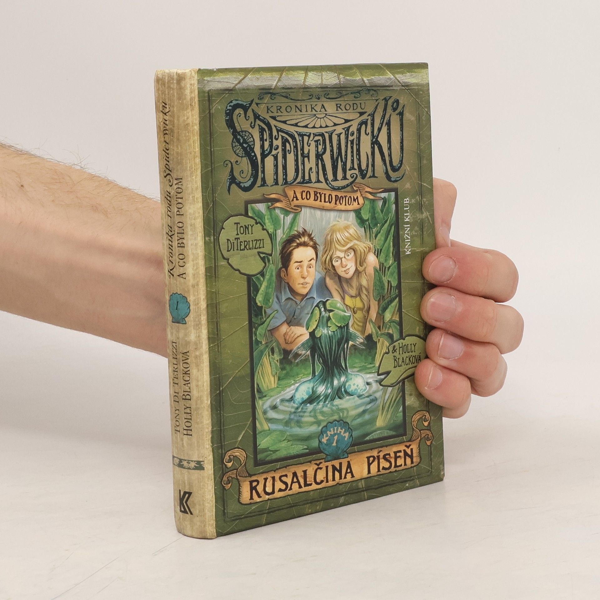 Tony DiTerlizzi Kronika rodu Spiderwicků a co bylo potom. Kniha 1, Rusalčina píseň