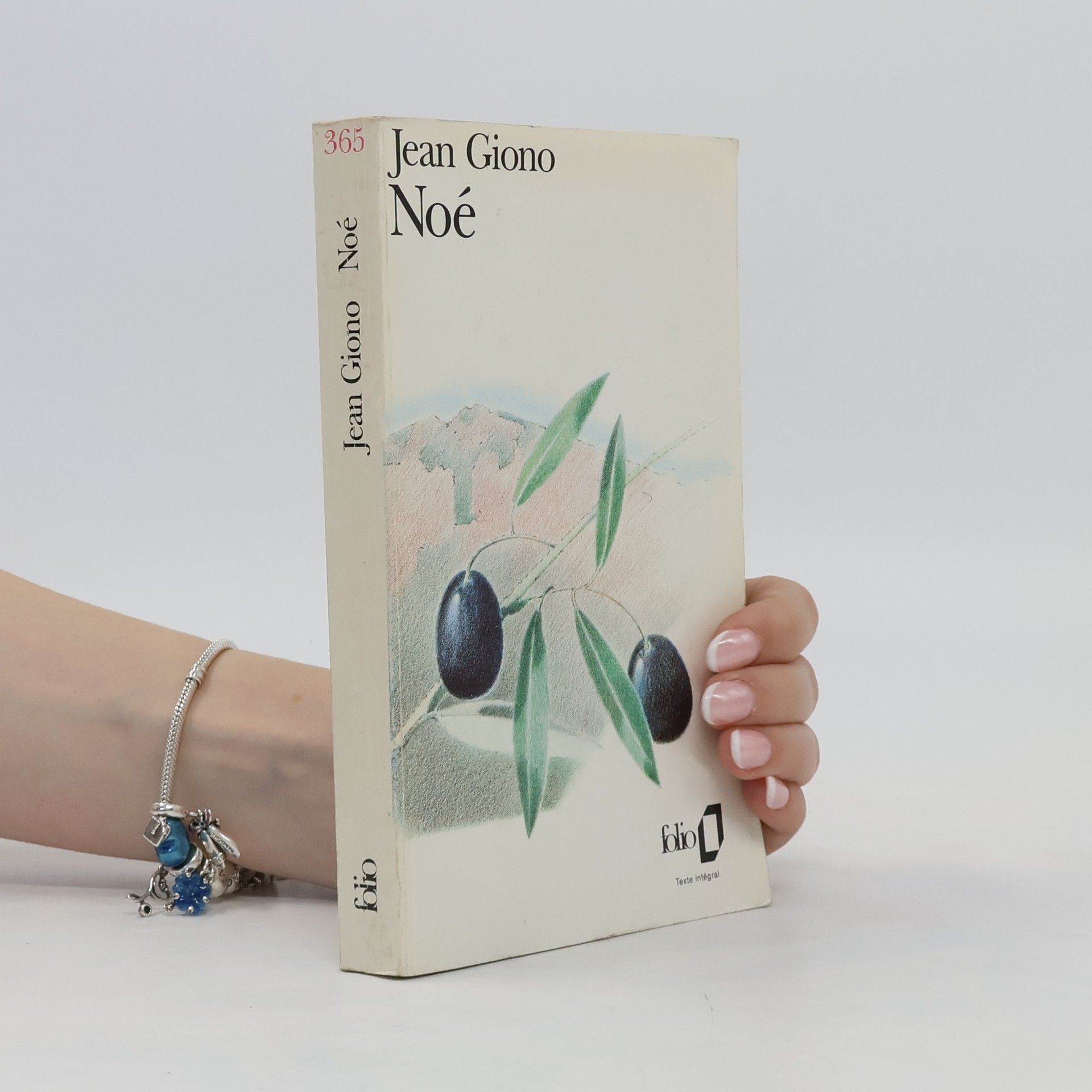 Jean Giono Noé