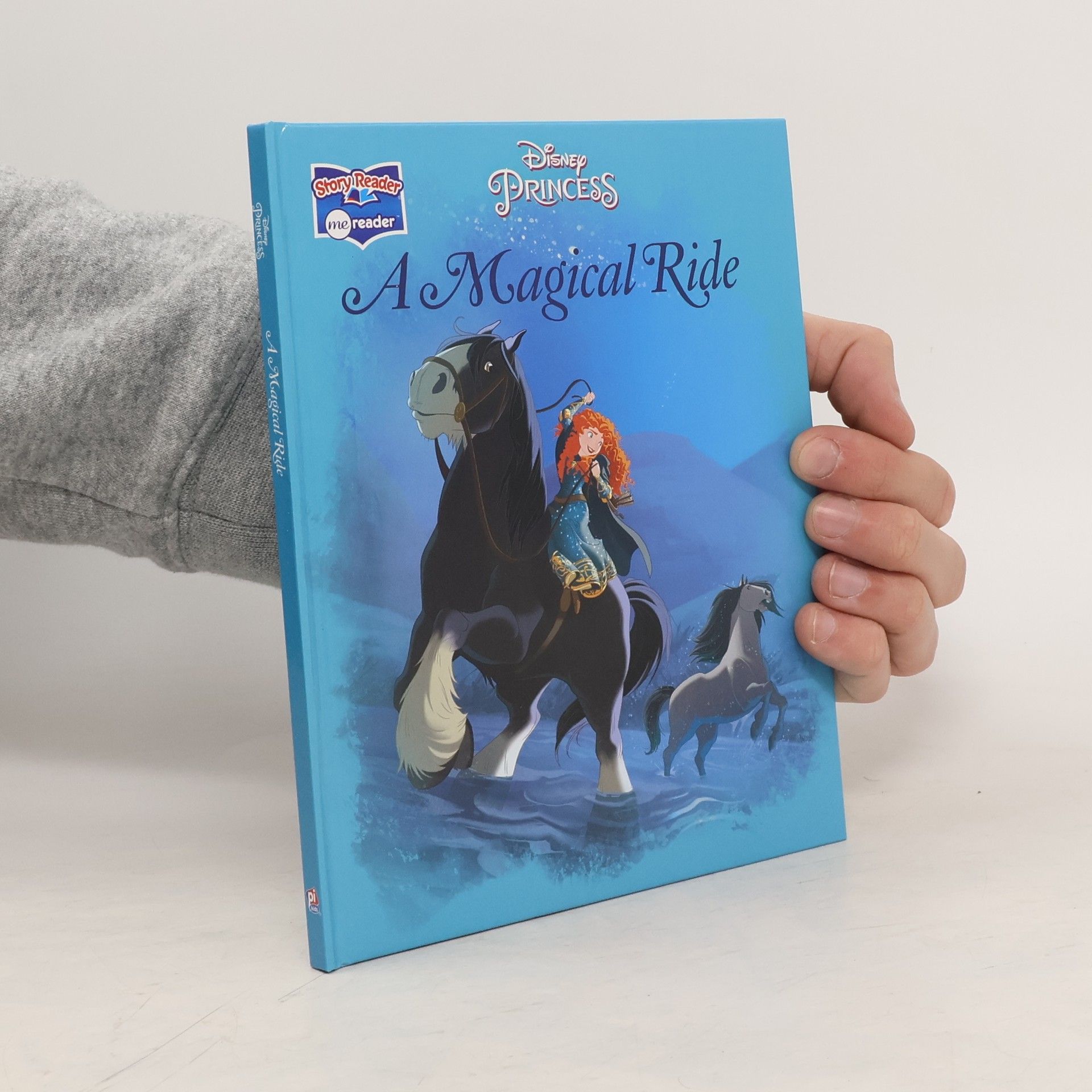 Kolektiv autorů A Magical Ride