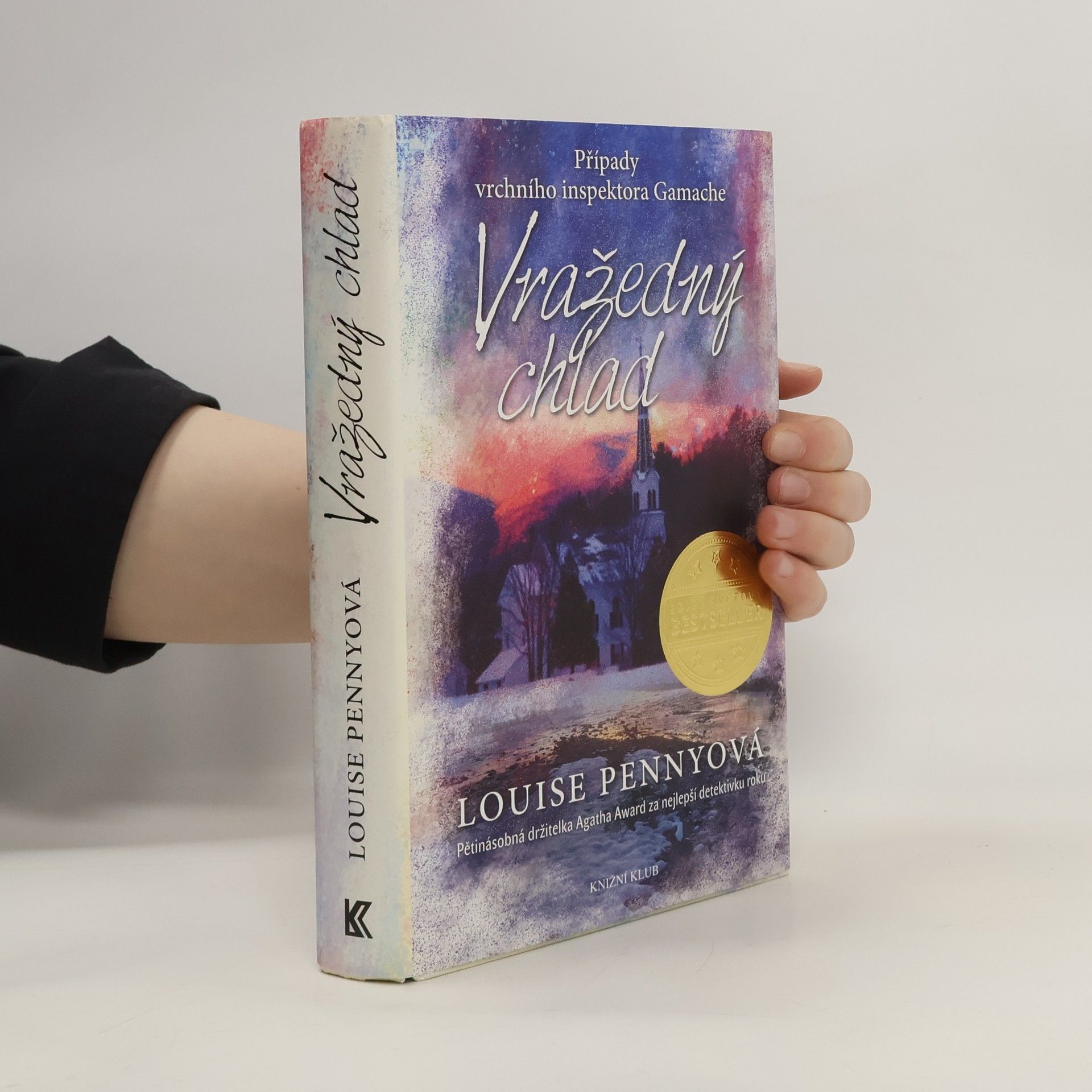 Louise Penny Vražedný chlad