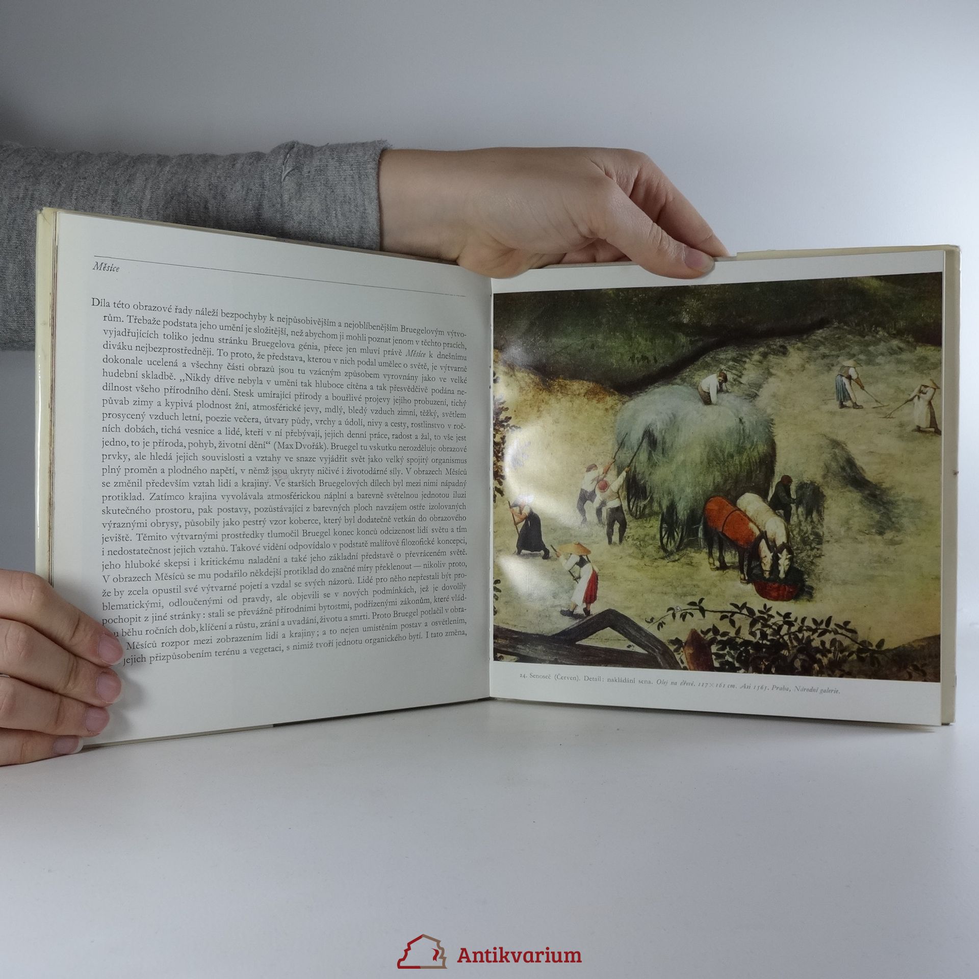 Ernst Günther Grimme Pieter Bruegel