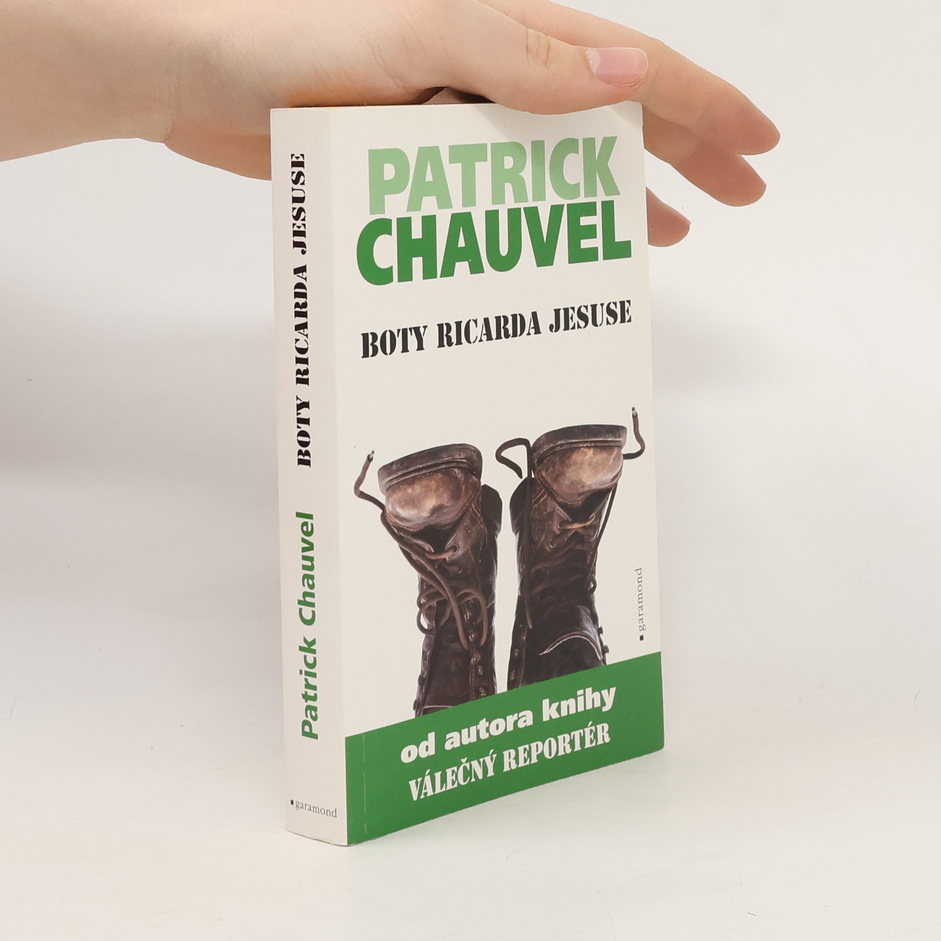 Patrick Chauvel Boty Ricarda Jesuse
