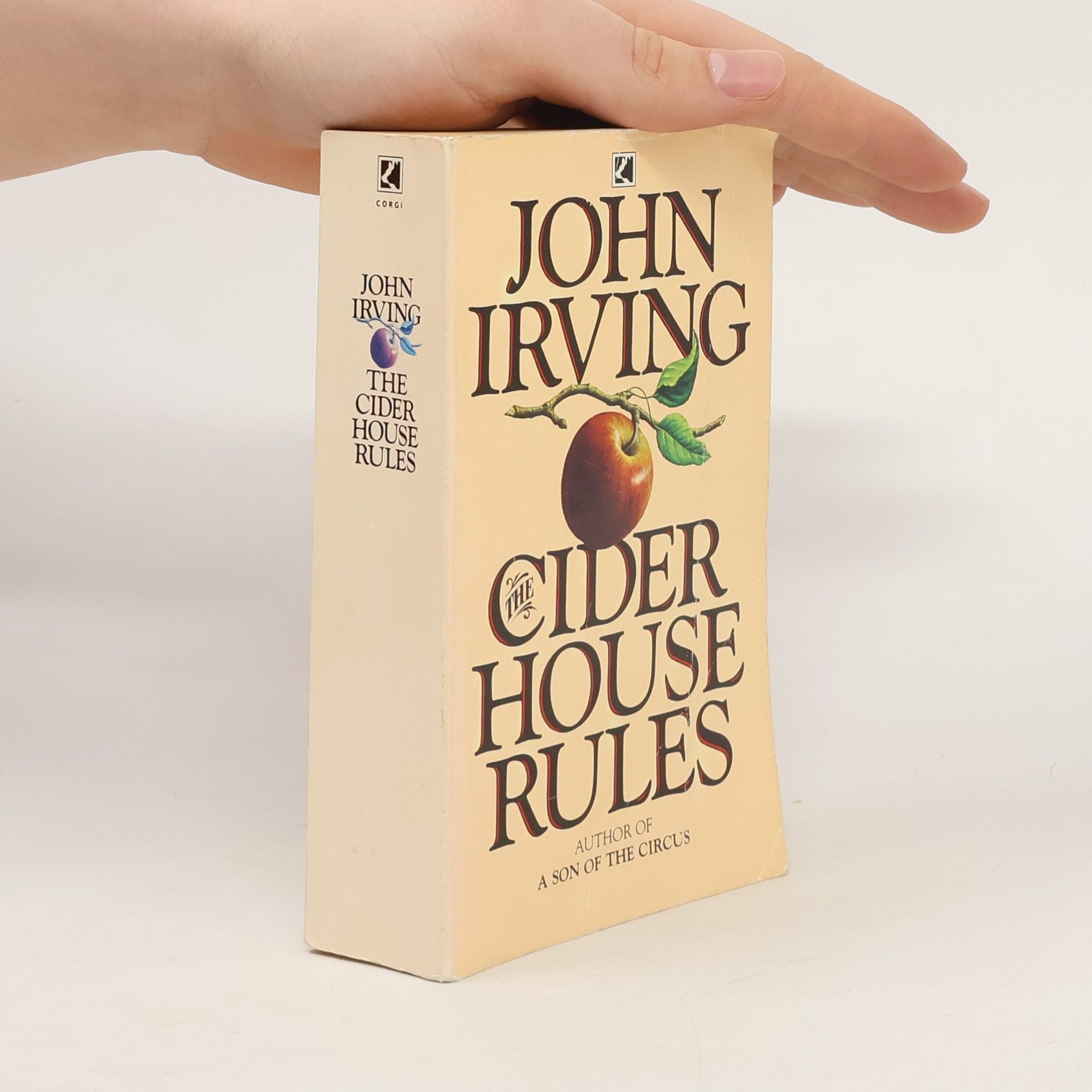 John Irving The Cider House Rules