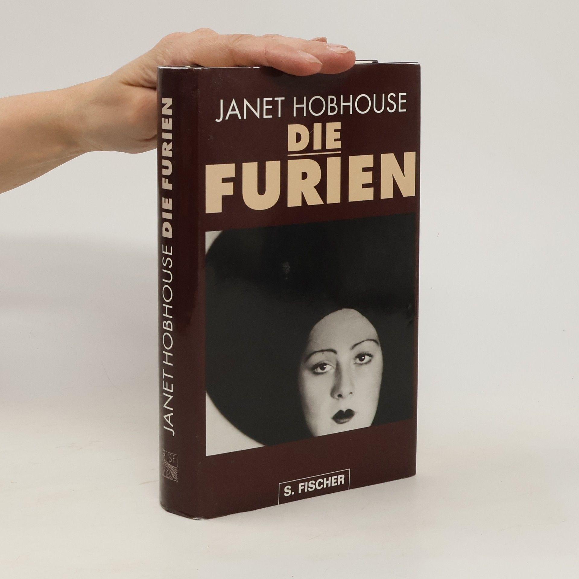 Janet Hobhouse Die Furien