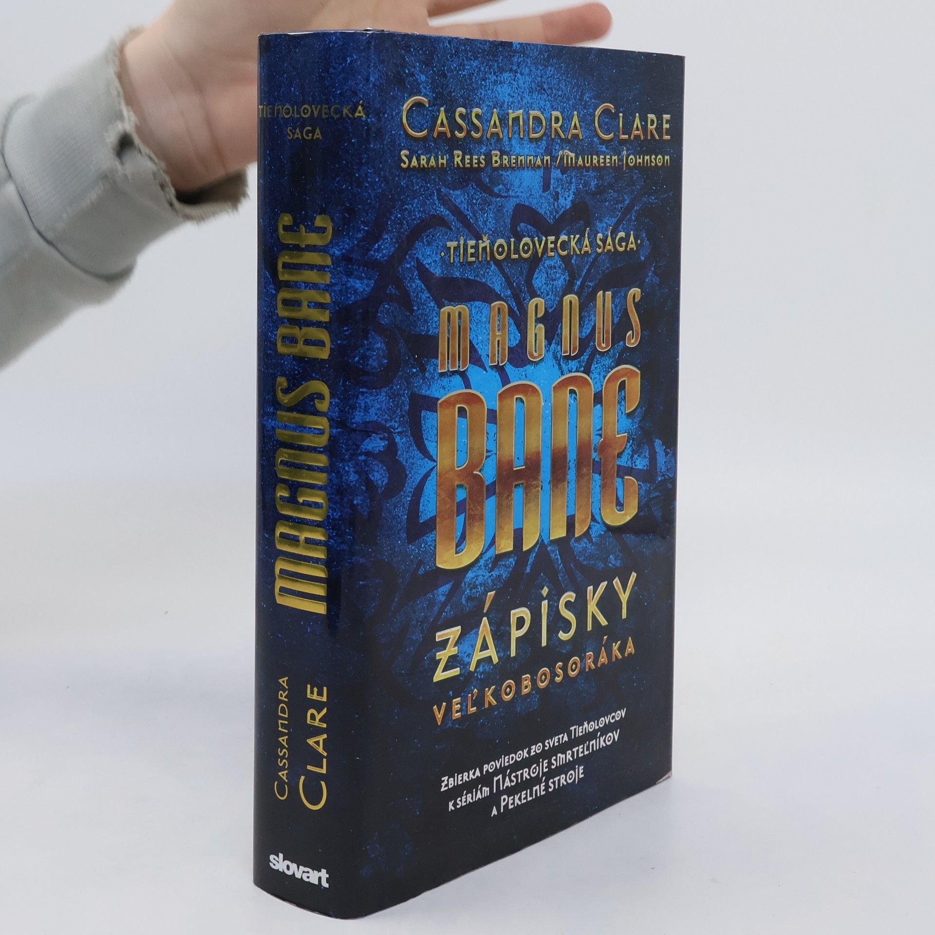 Cassandra Clare Magnus Bane  - Zápisky veľkobosoráka