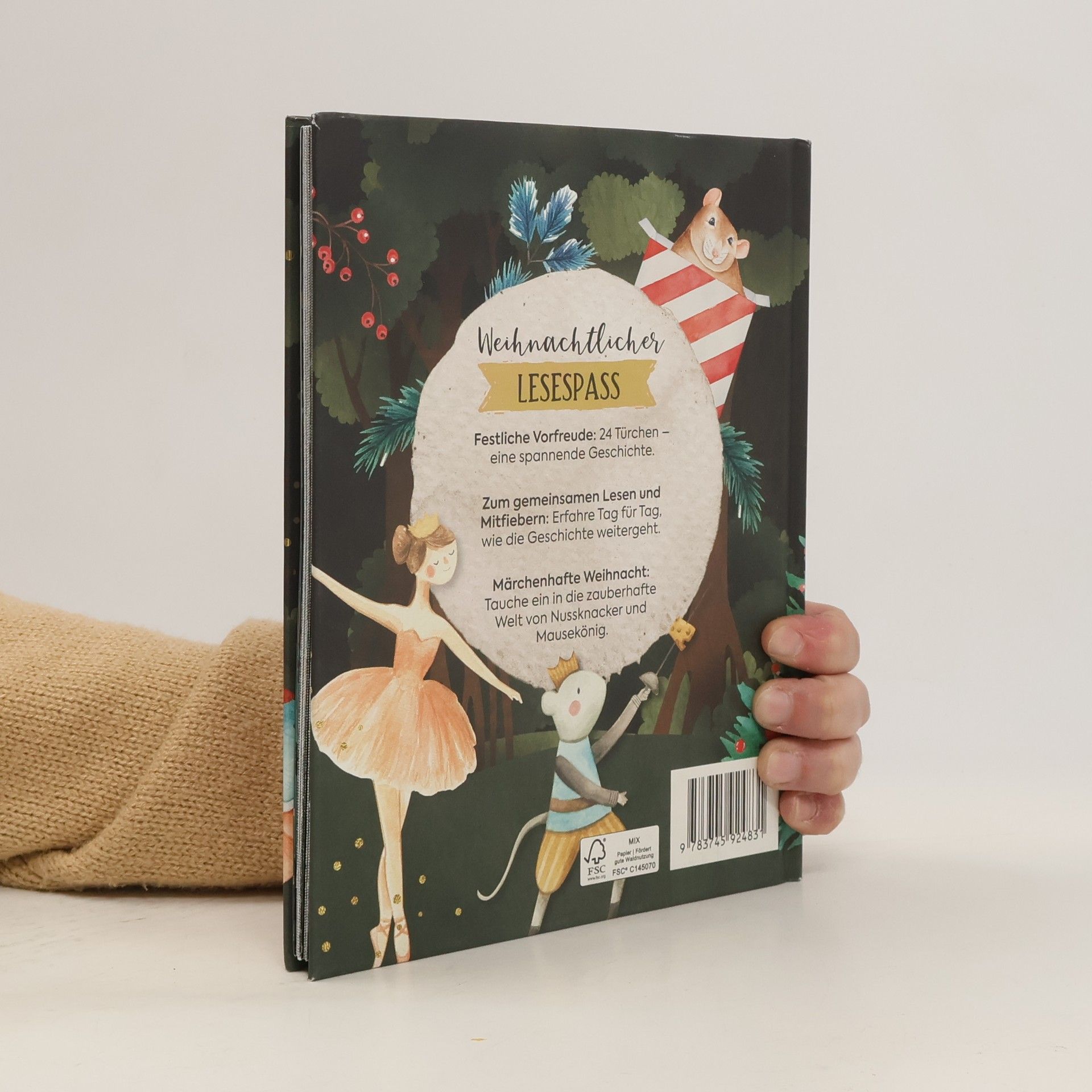 kolektiv Adventskalenderbuch Märchenhaftes Adventsglück