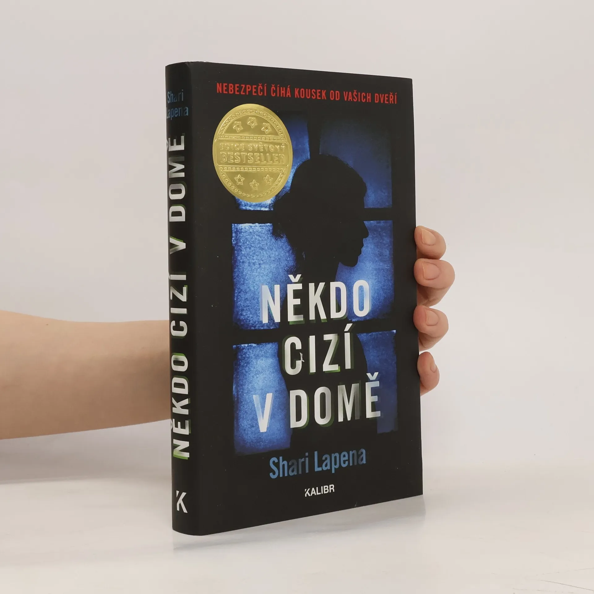 Někdo cizí v domě | Kniha | pevná | Shari Lapena | CS