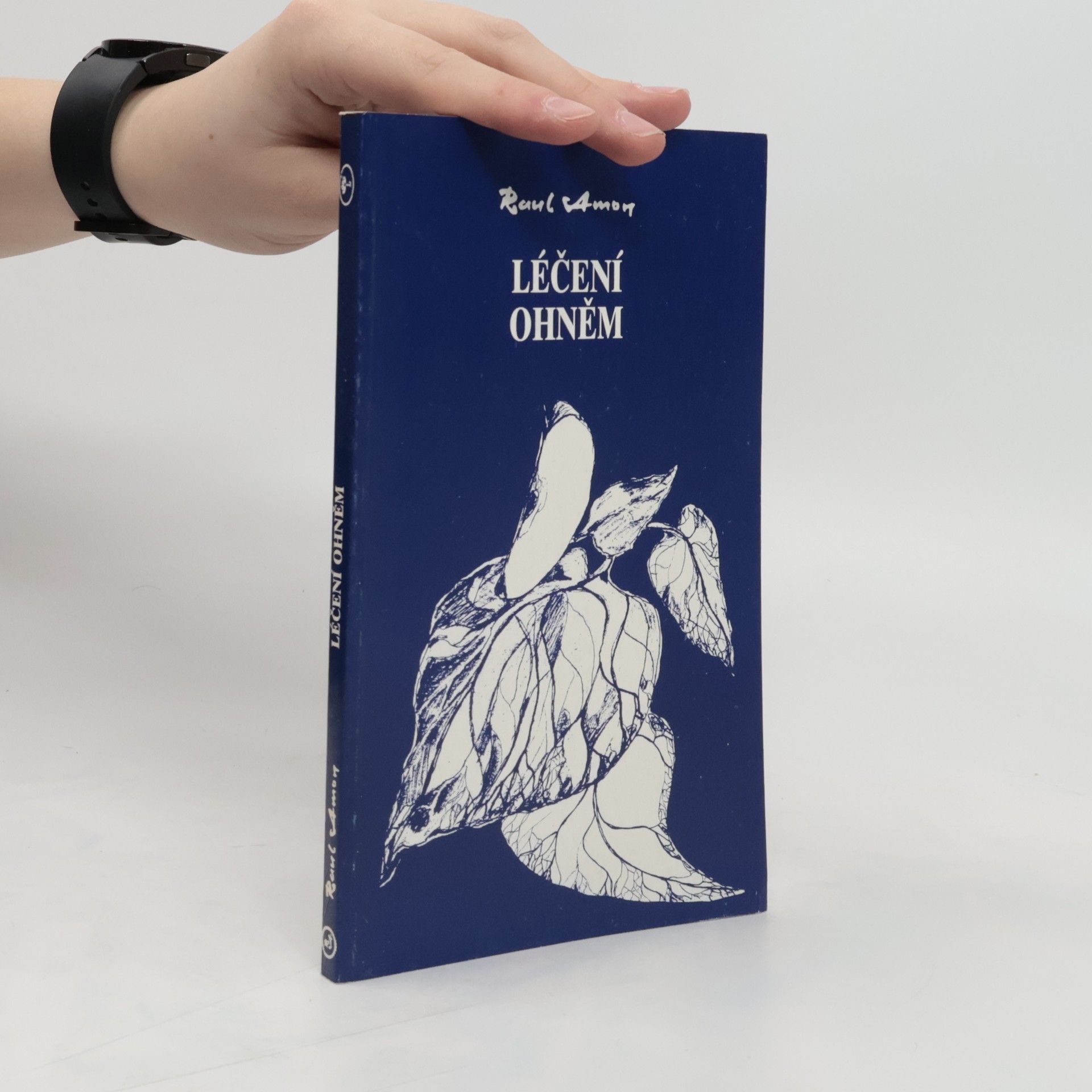 Raul Amon Léčení ohněm