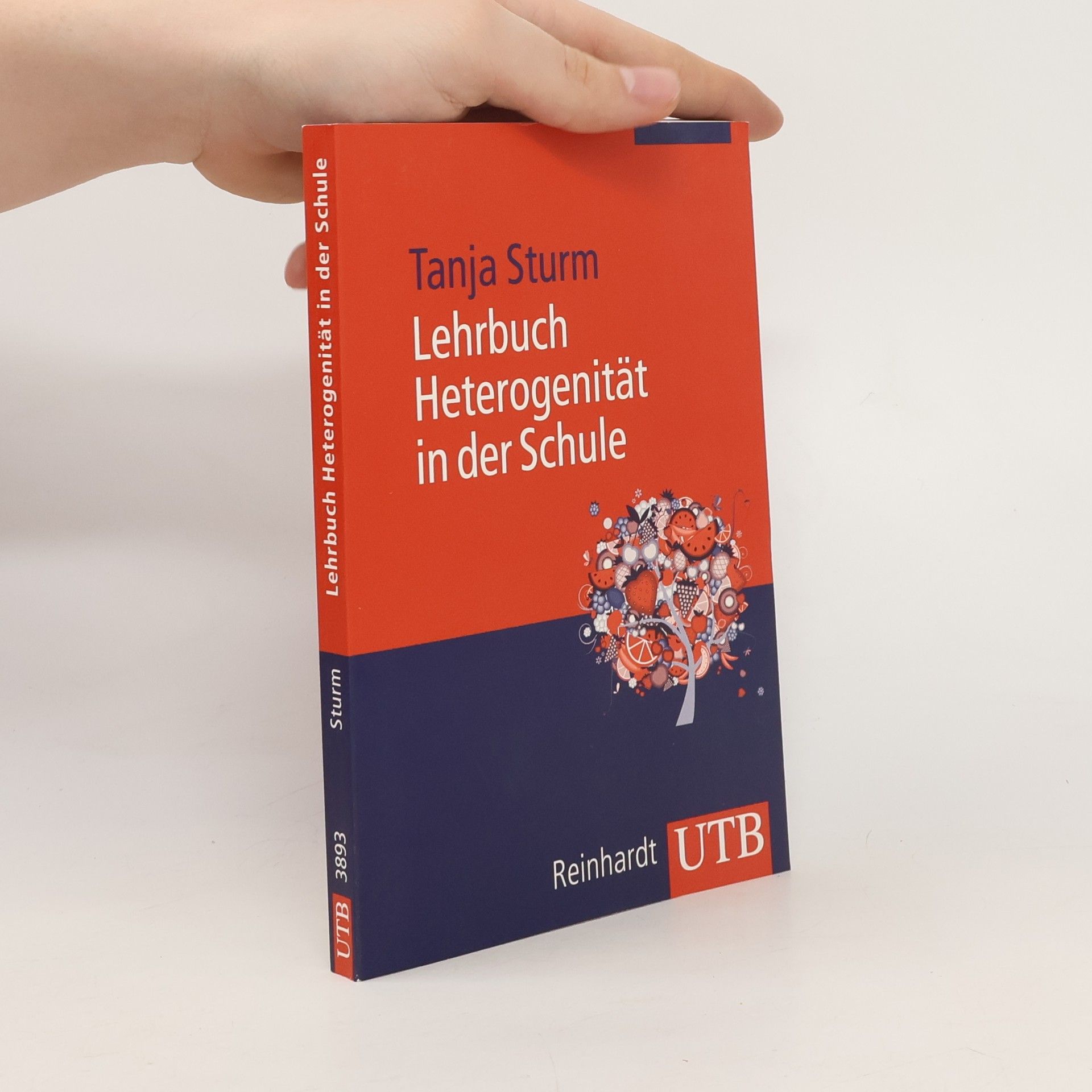 Tanja Sturm Lehrbuch Heterogenität in der Schule