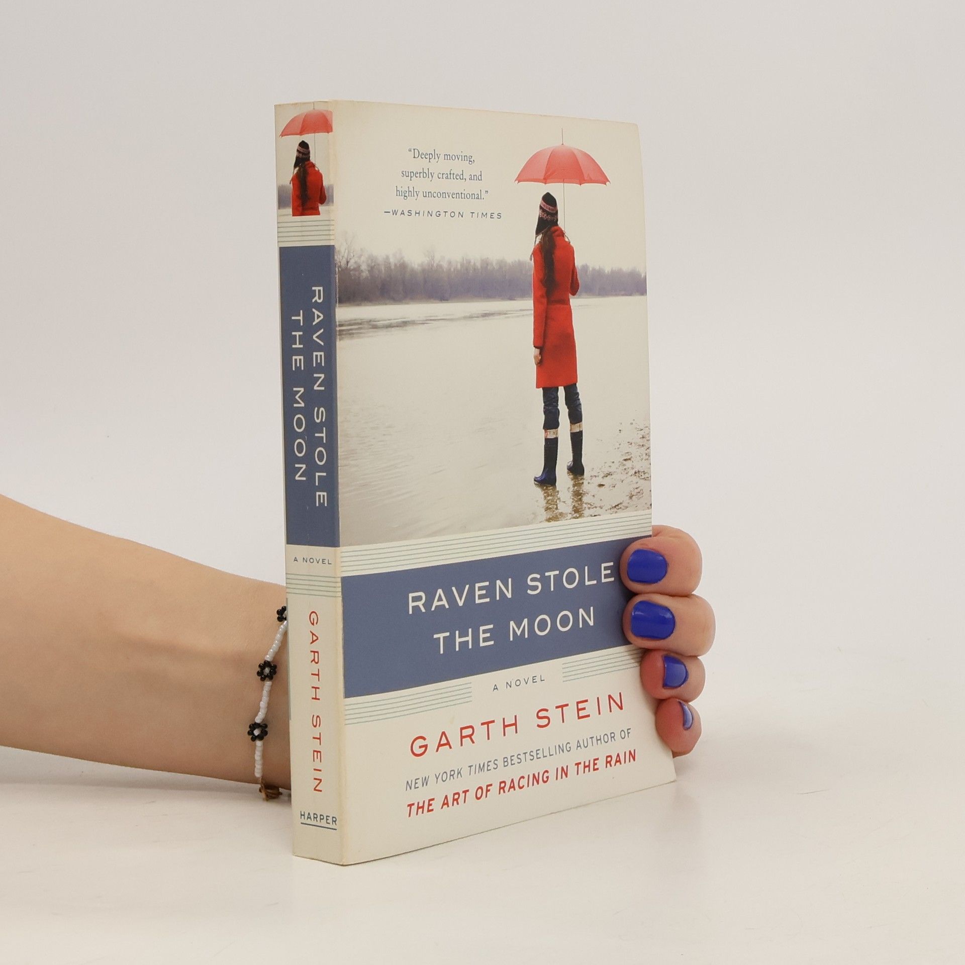 Garth Stein Raven Stole the Moon