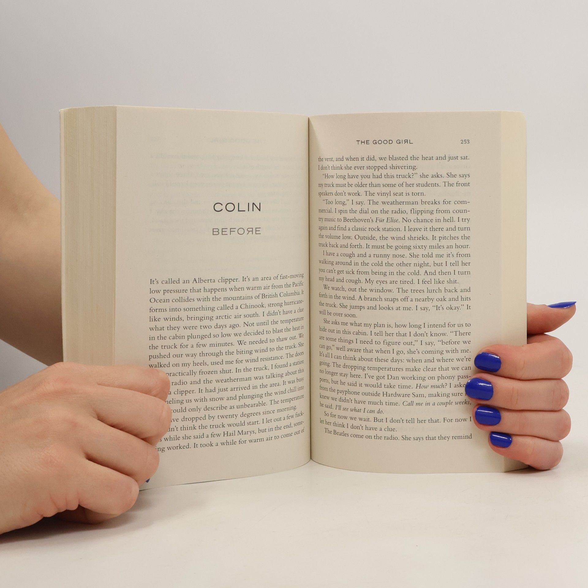 Mary Kubica The Good Girl. Good Girl. Entführt, englische Ausgabe