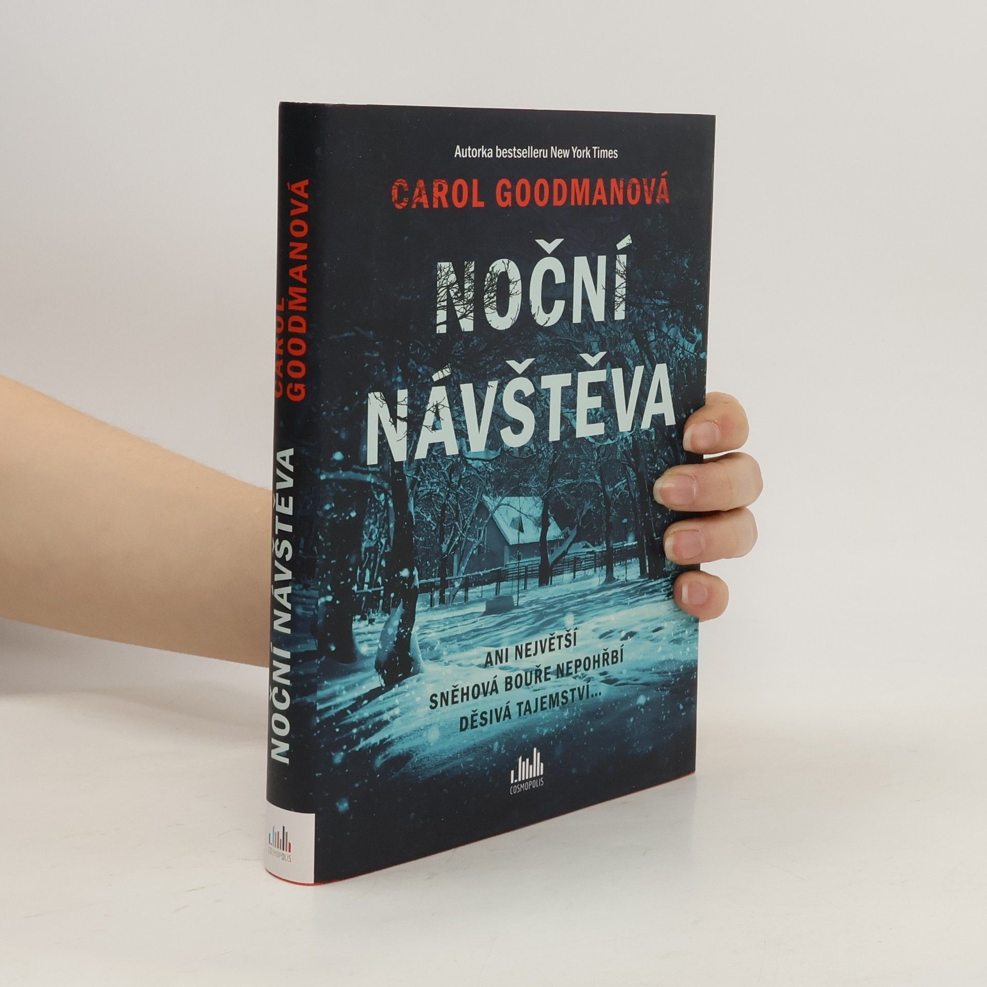 Lee Carroll Noční návštěva