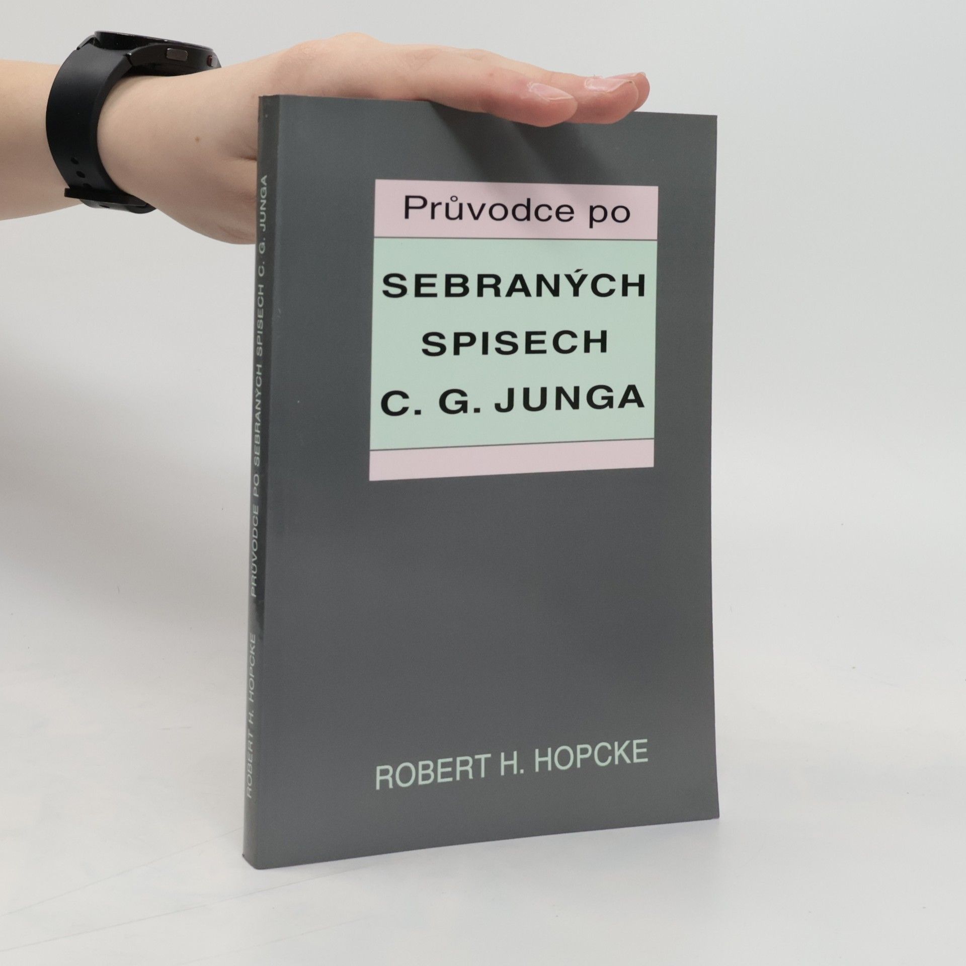 Robert H. Hopcke Průvodce po sebraných spisech C. G. Junga
