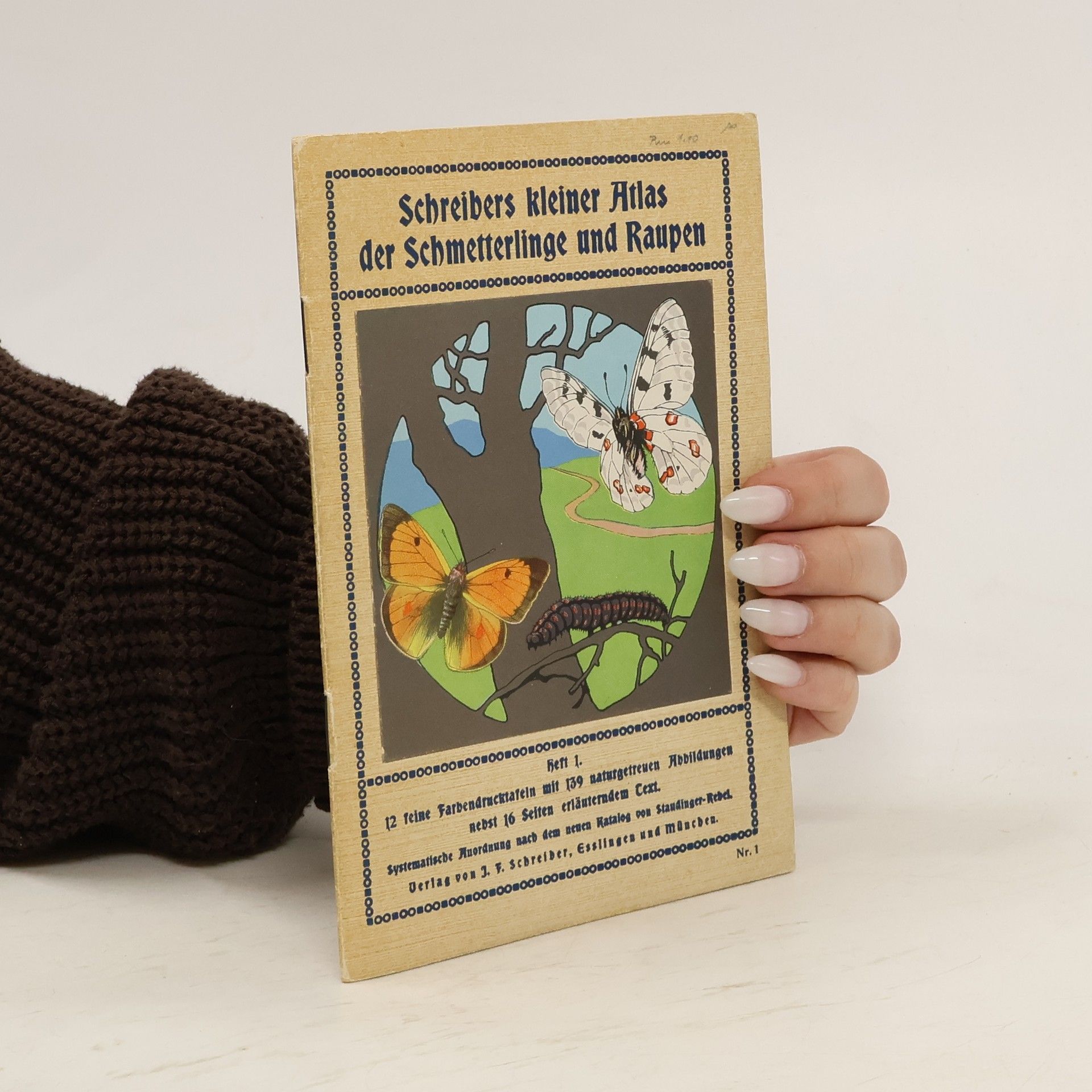 Autorenkollektiv Schreibers kleiner Atlas der Schmetterlinge und Raupen. Heft I