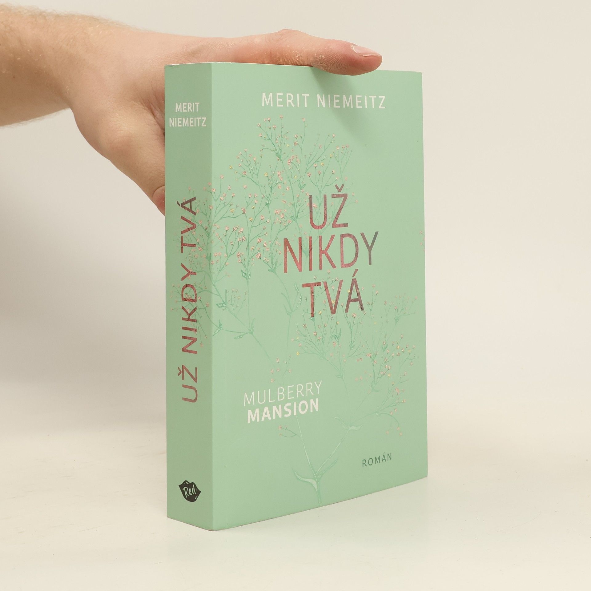 Merit Niemeitz Už nikdy tvá