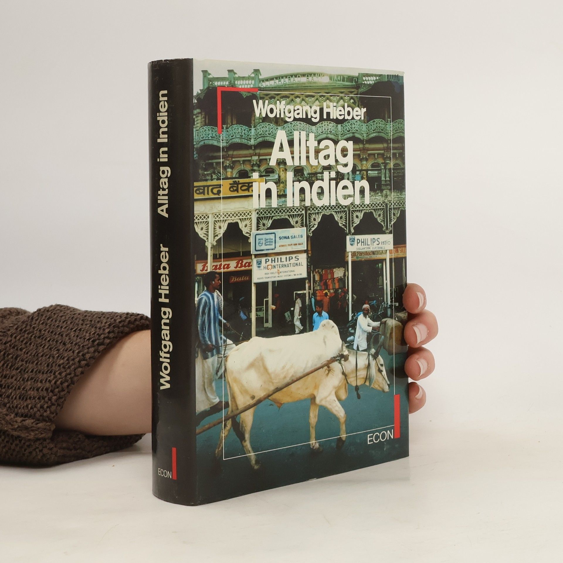 Wolfgang Hieber Alltag in Indien