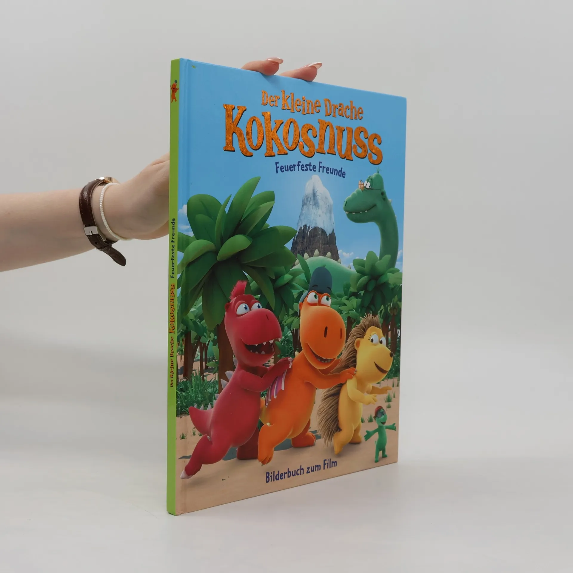 Der kleine Drache Kokosnuss. Feuerfeste Freunde | Buch | Hardcover | Ingo Seigner