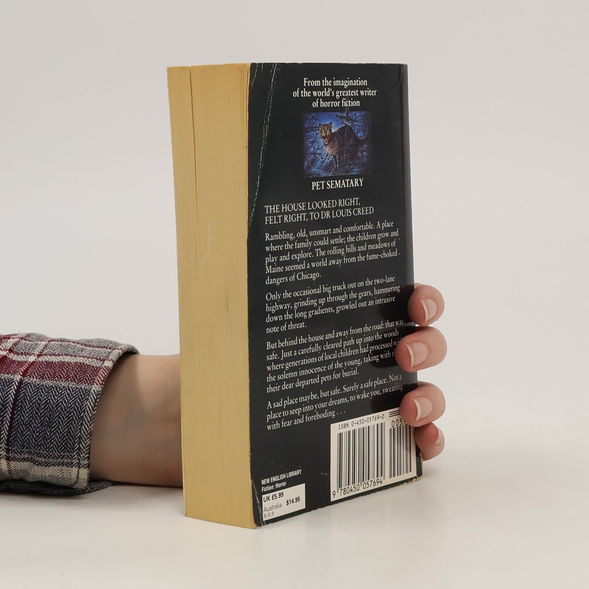 Stephen King Pet sematary