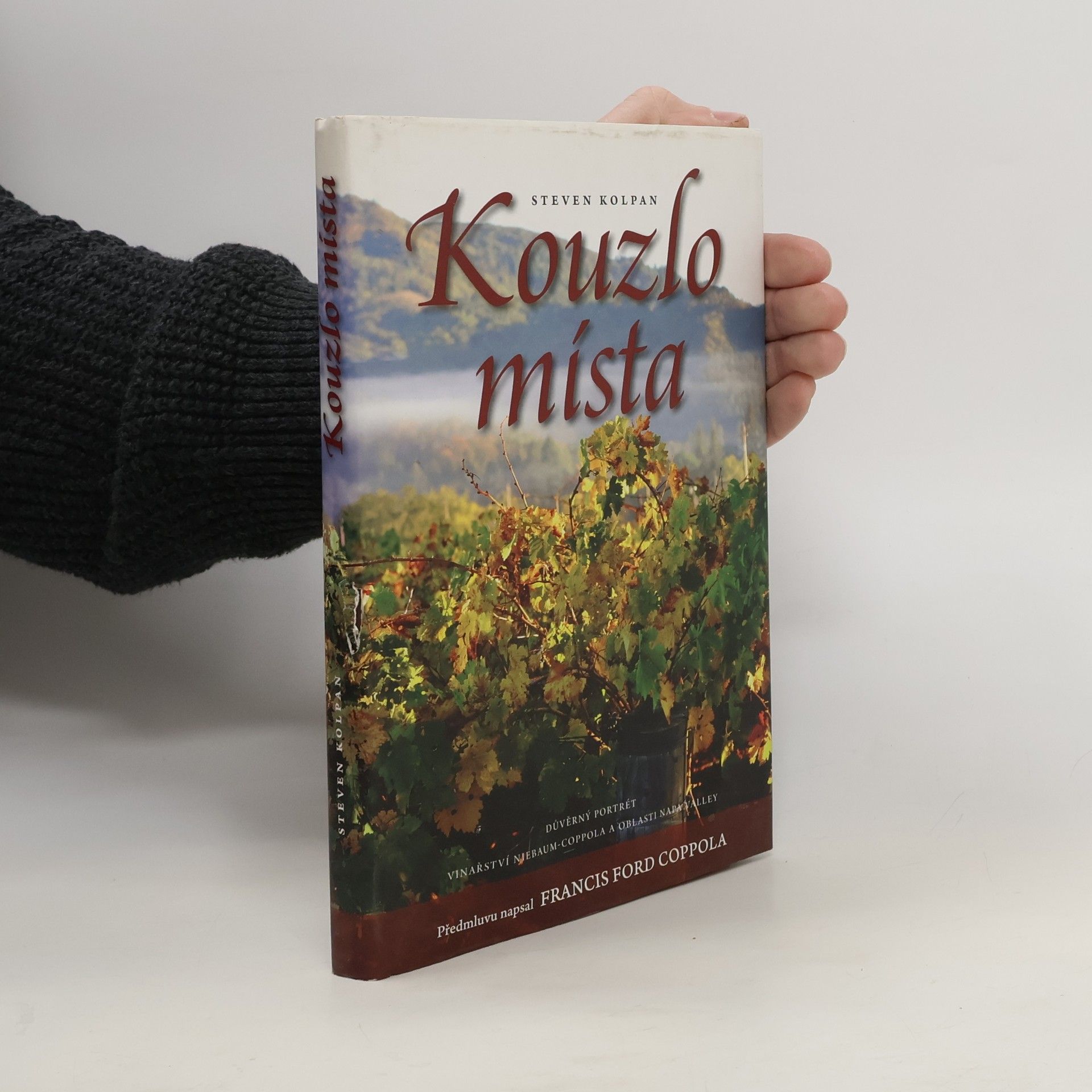 Steven Kolpan Kouzlo místa