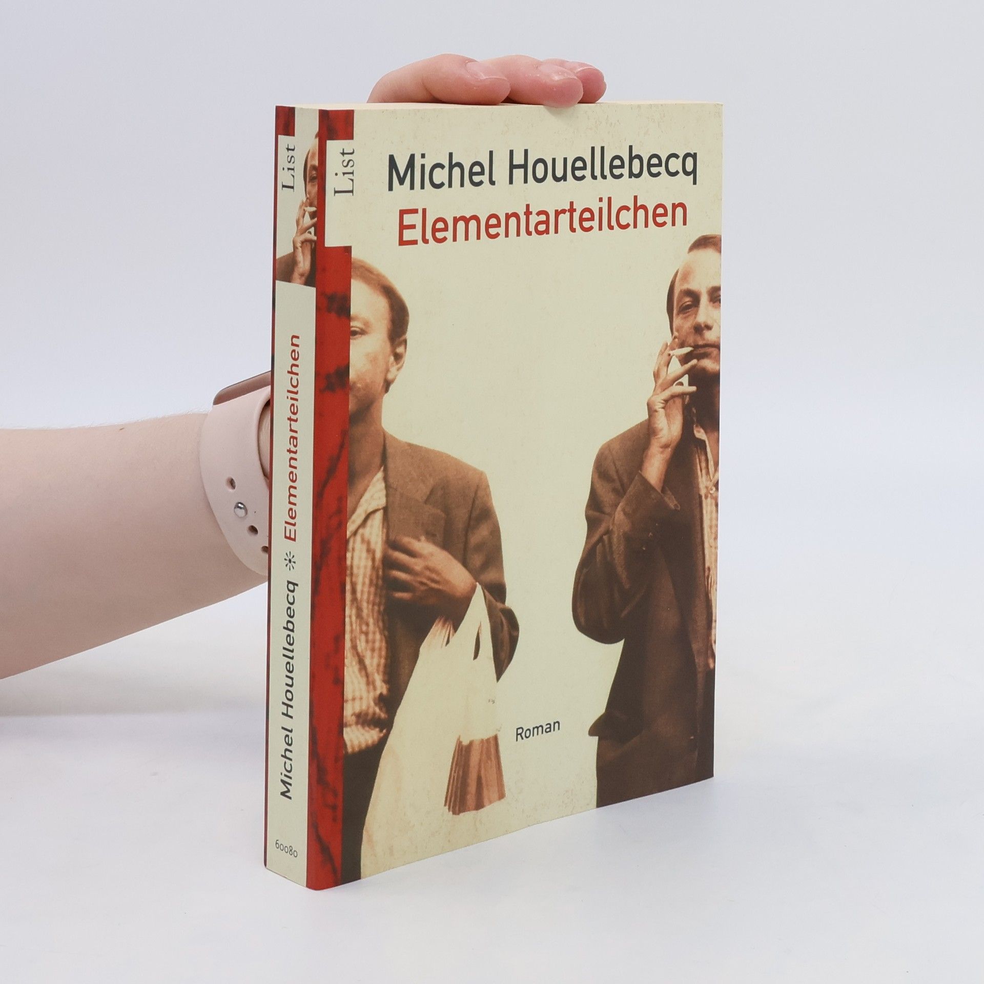 Michel Houellebecq Elementarteilchen