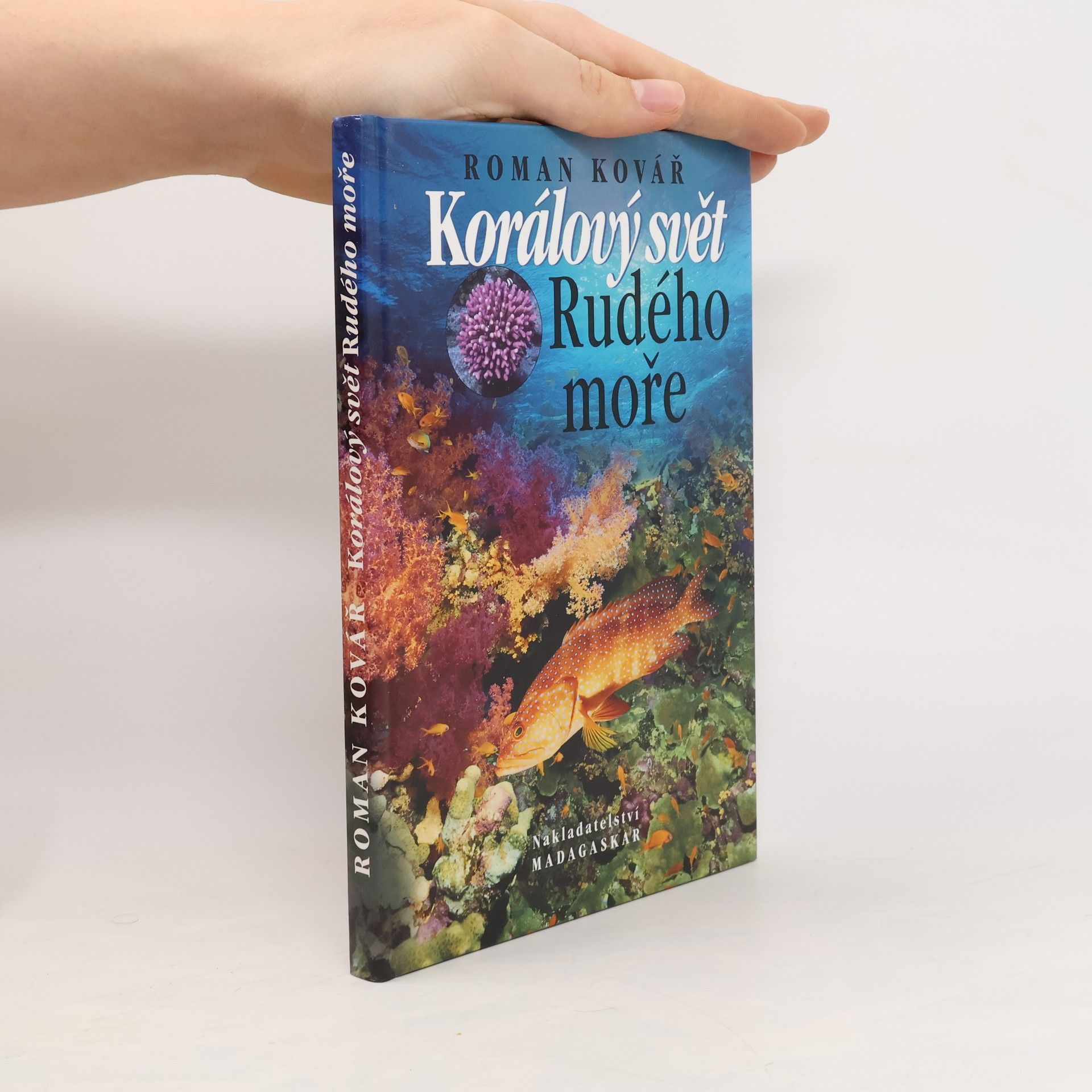 Roman Kovář Korálový svět Rudého moře