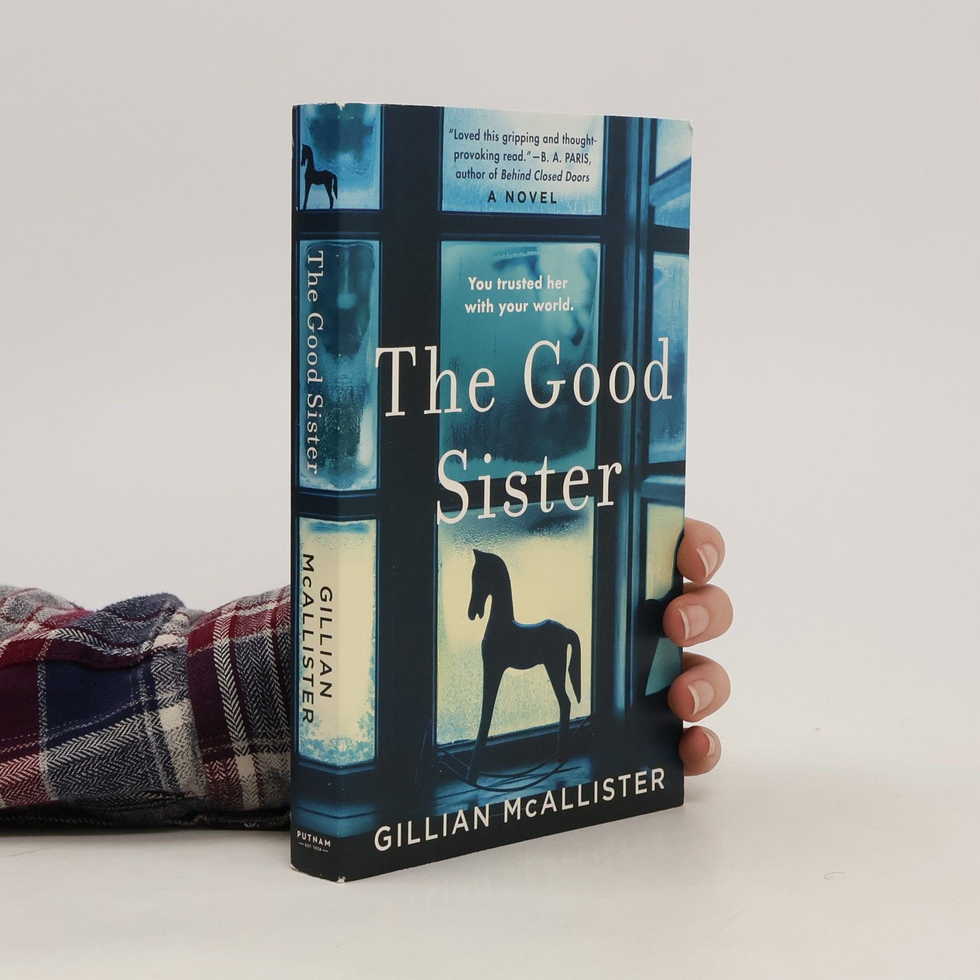 Gillian McAllister The Good Sister