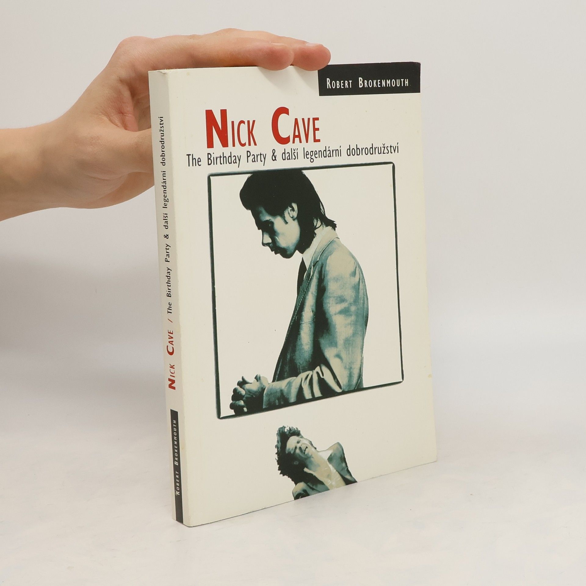 Jana Hájková Nick Cave. The Birthday Party & další legendární dobrodružství